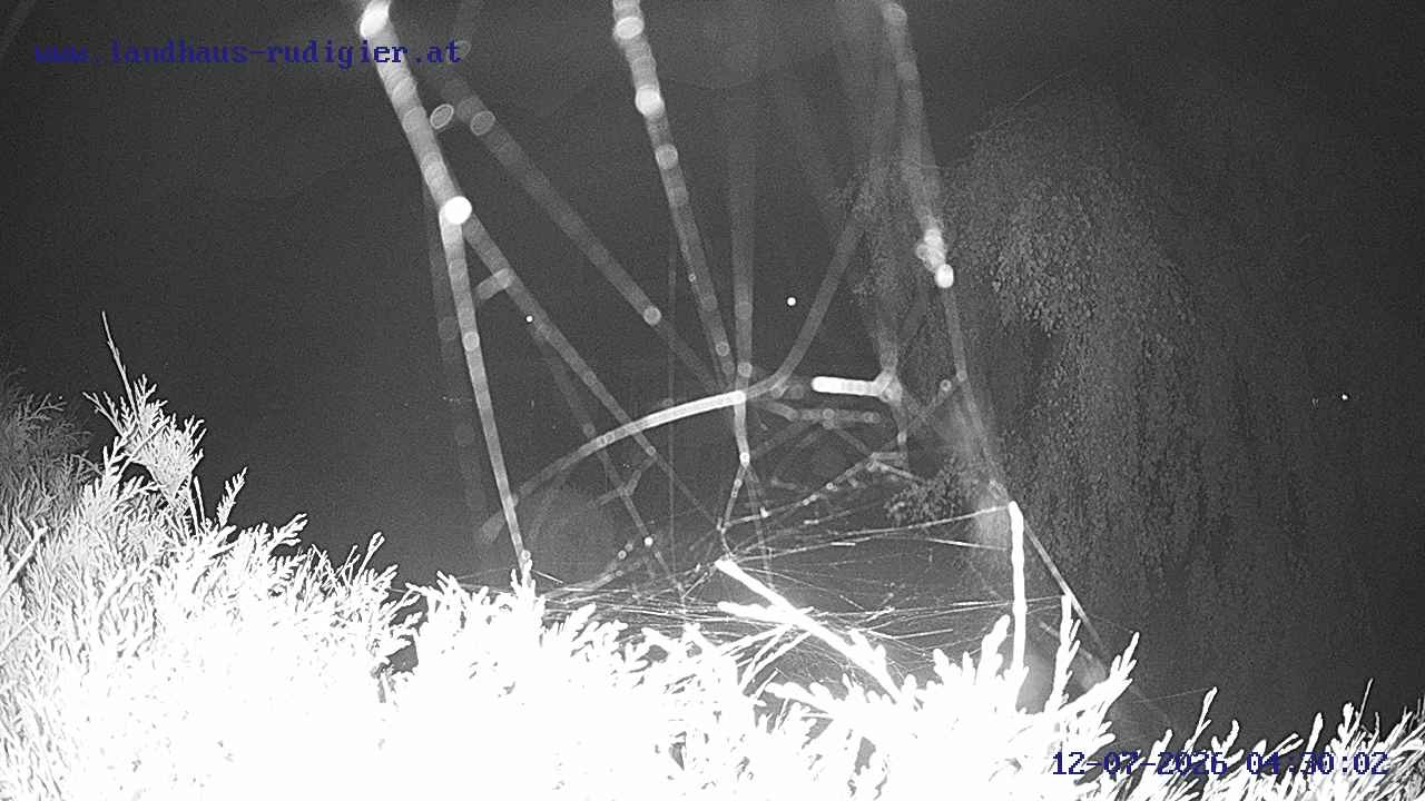 Archived image Webcam St. Gallenkirch, Vorarlberg