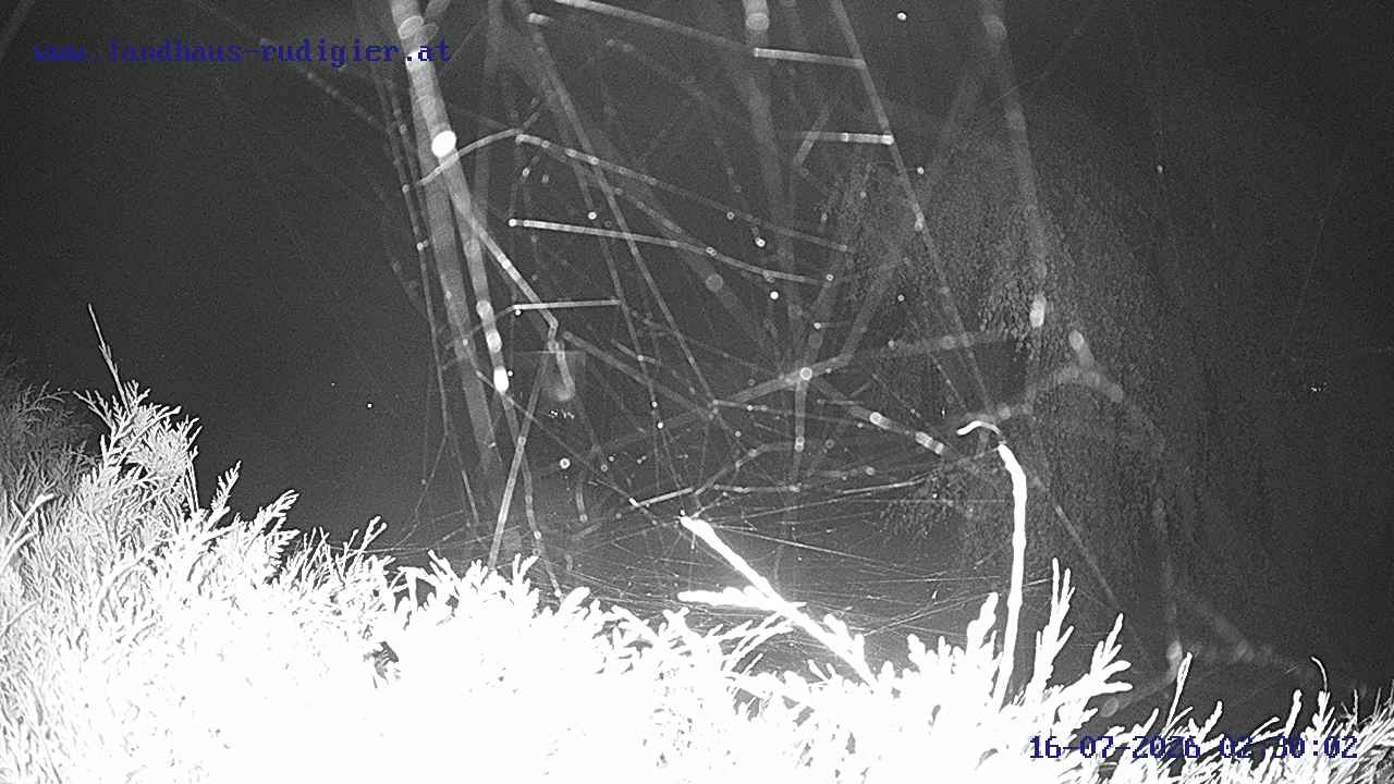Archiv Foto Webcam Sankt Gallenkirch, Vorarlberg