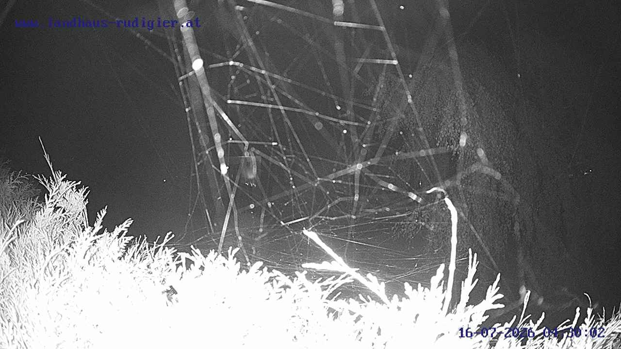 Archived image Webcam St. Gallenkirch, Vorarlberg