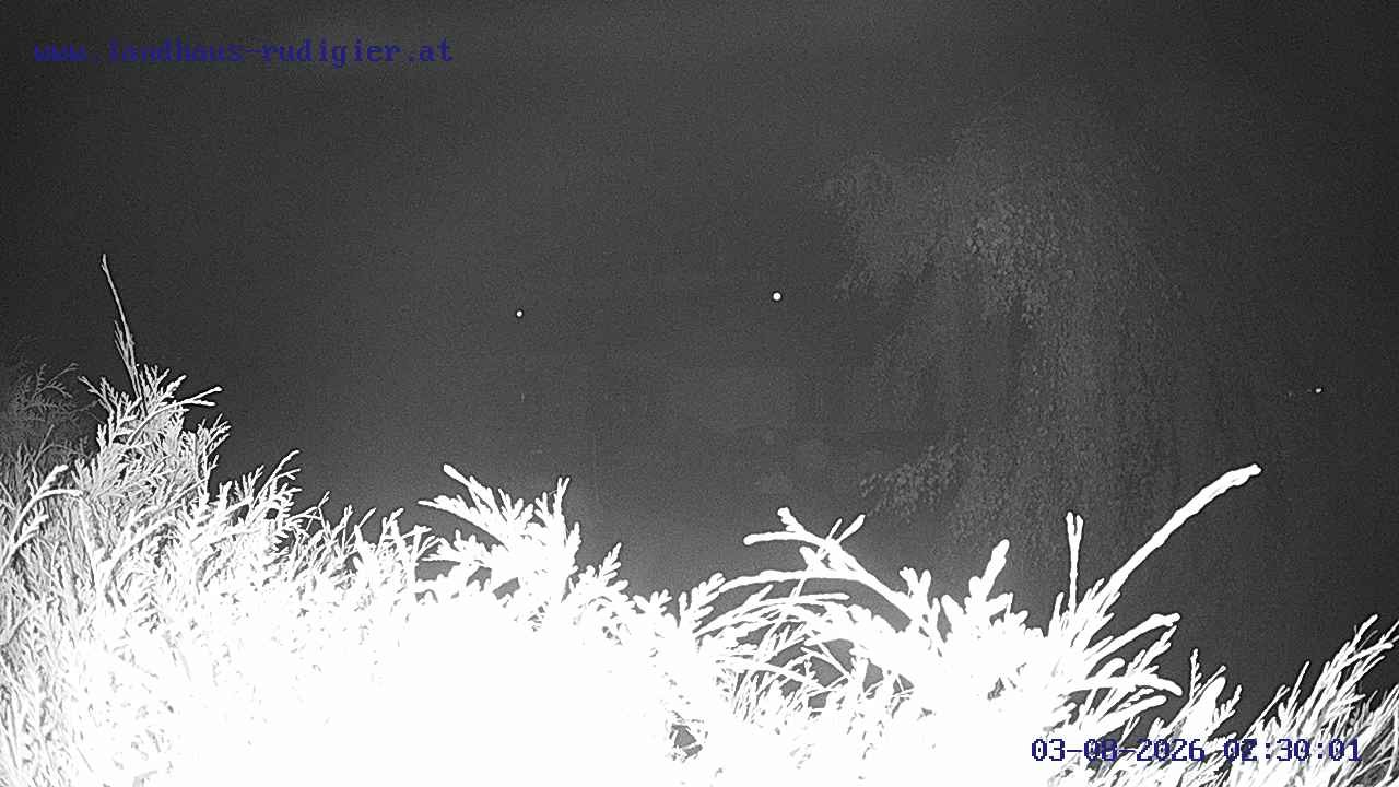 Archived image Webcam St. Gallenkirch, Vorarlberg