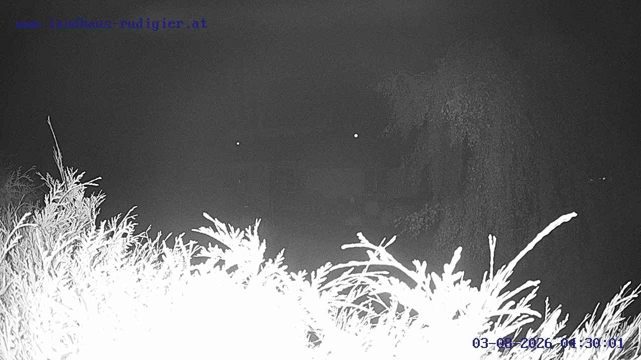 Archived image Webcam St. Gallenkirch, Vorarlberg