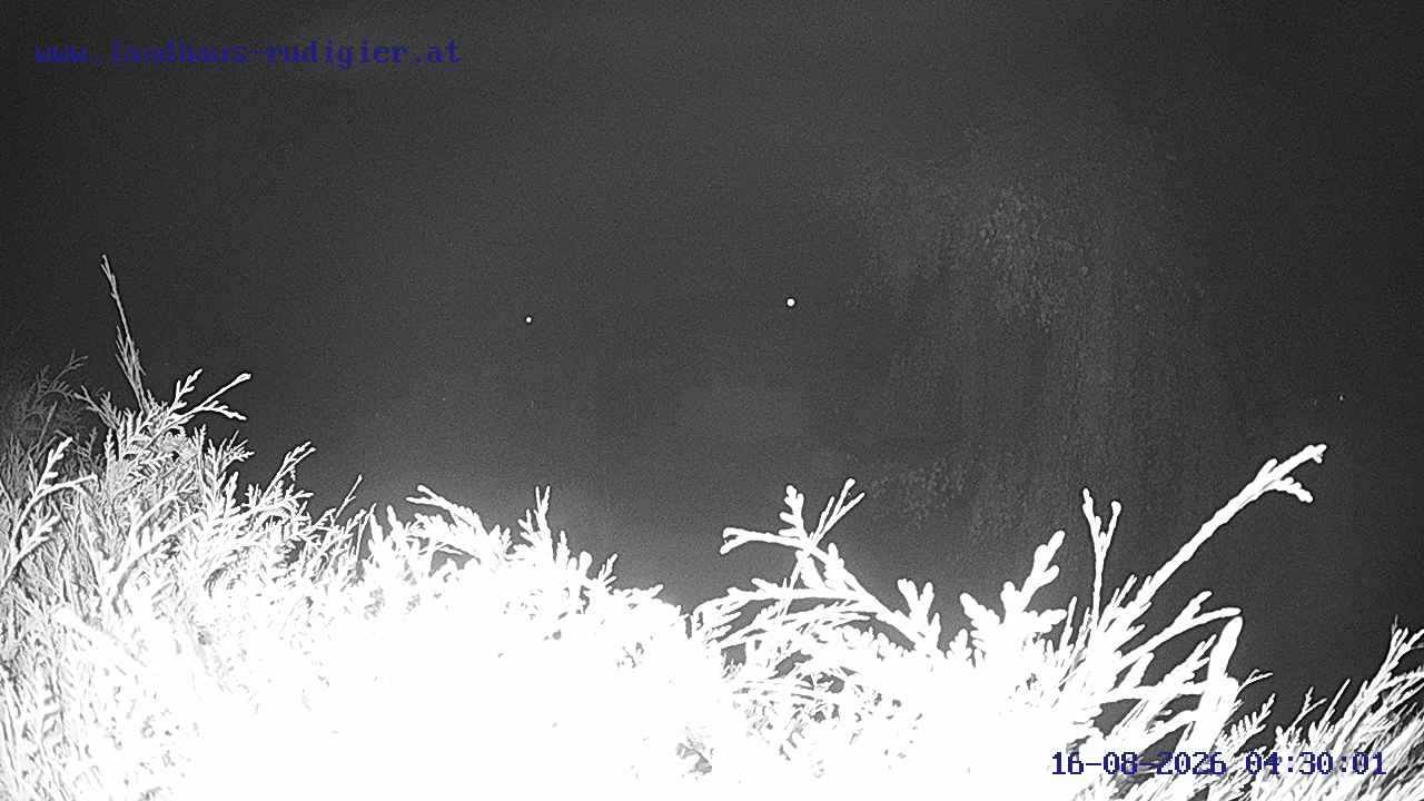 Archiv Foto Webcam Sankt Gallenkirch, Vorarlberg