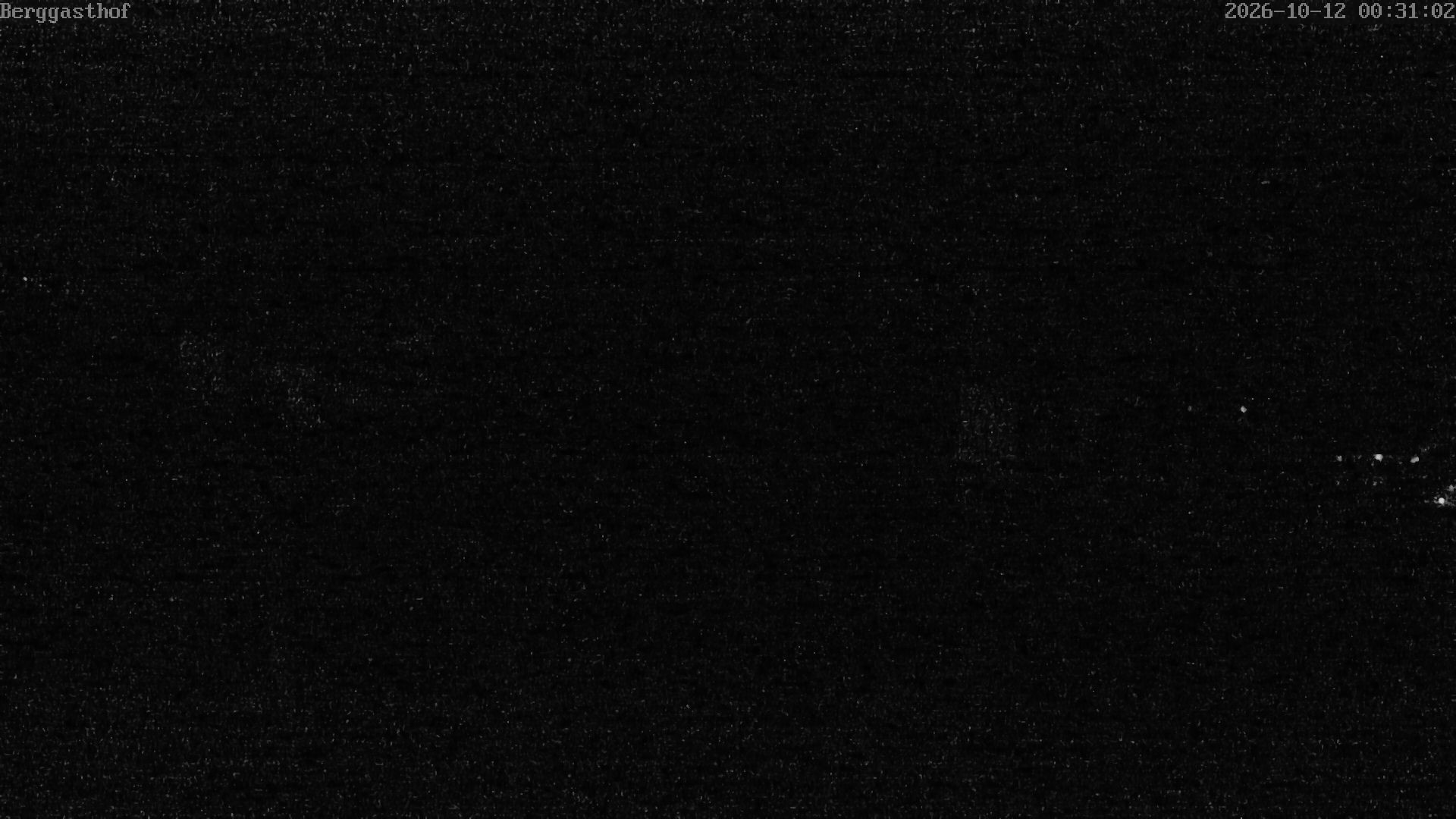 Archiv Foto Webcam Mariazeller Bürgeralpe