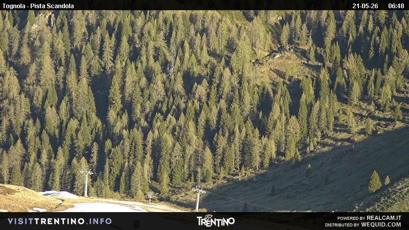 Archived image Webcam Alm Malga Tognola
