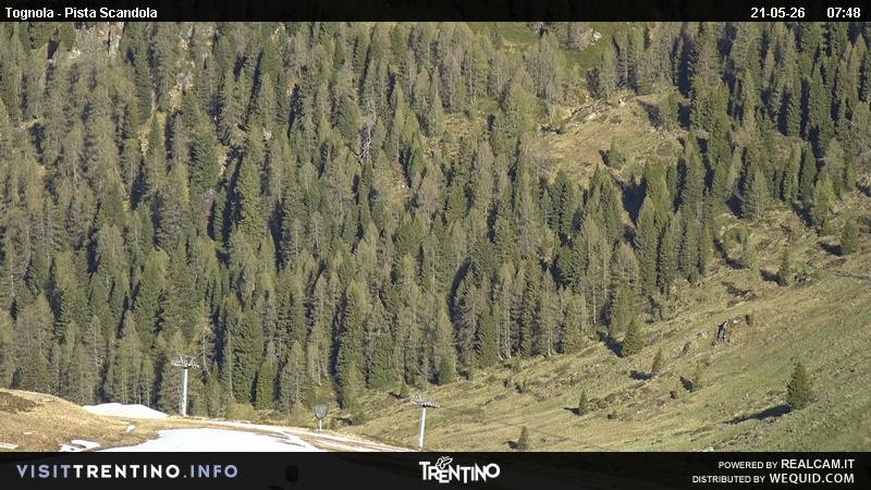 Archived image Webcam Alm Malga Tognola