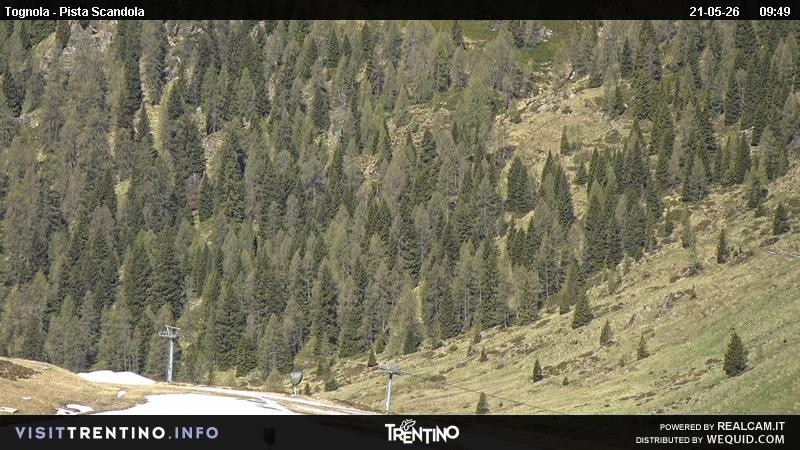 Archived image Webcam Alm Malga Tognola