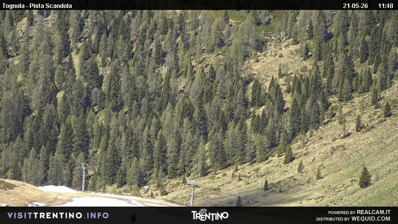 Archived image Webcam Alm Malga Tognola