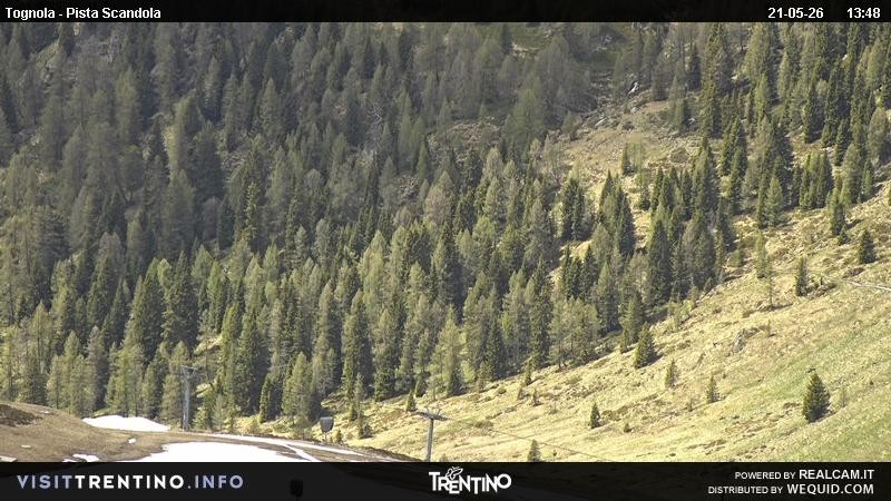 Archived image Webcam Alm Malga Tognola