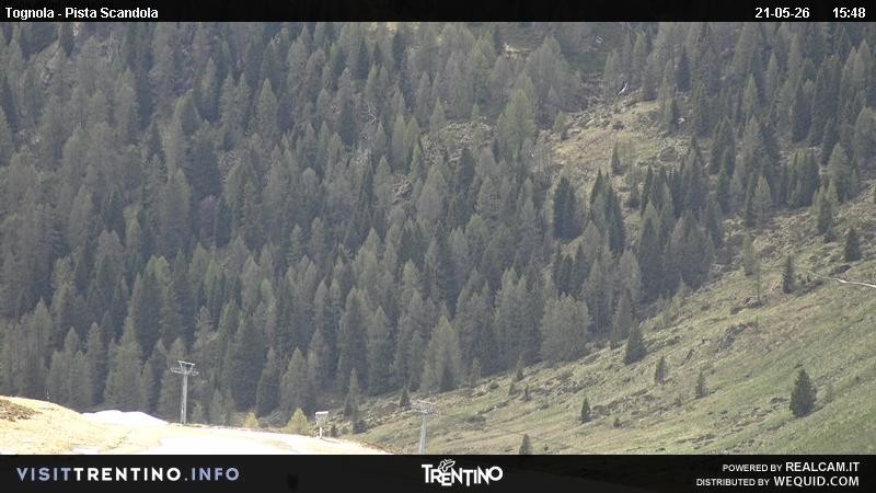 Archived image Webcam Alm Malga Tognola