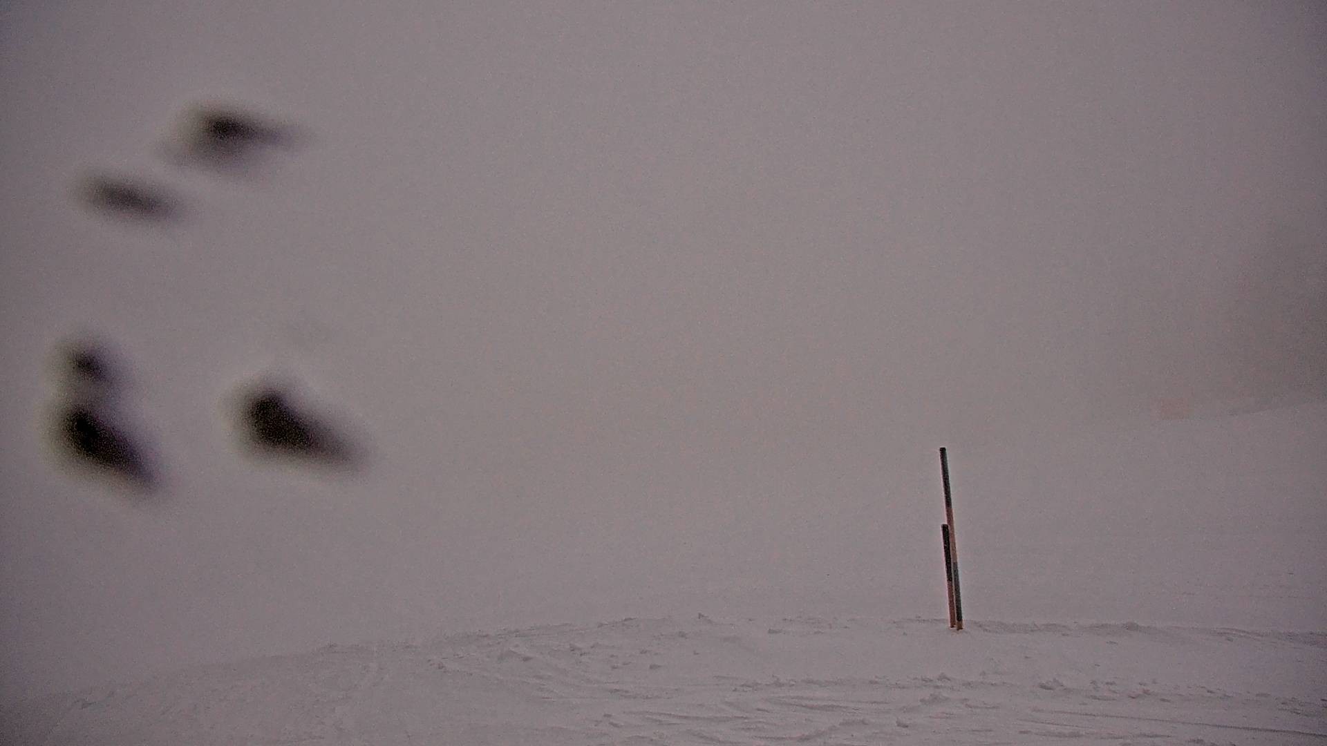 Archived image Webcam Stuhleck