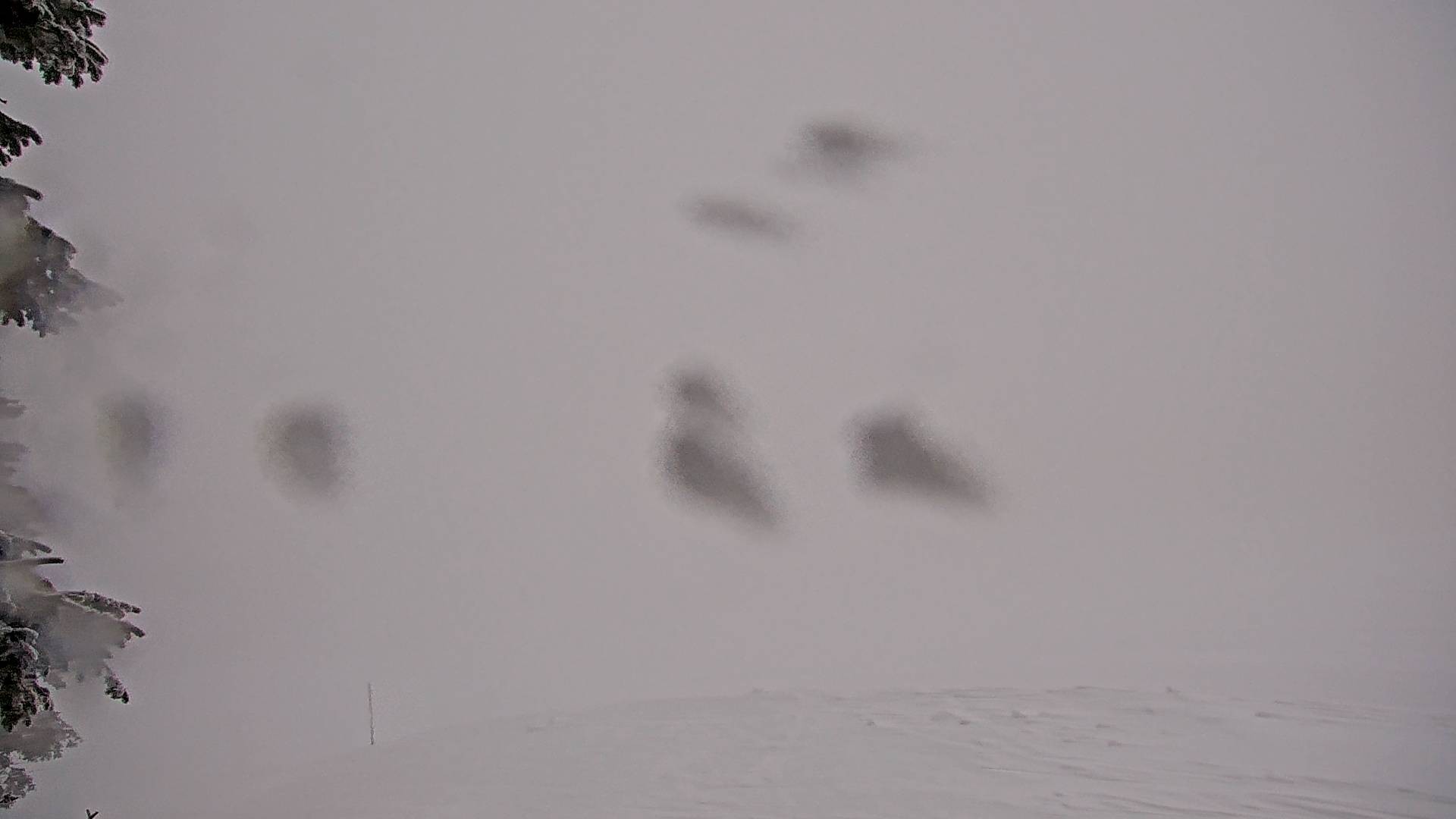 Archived image Webcam Stuhleck