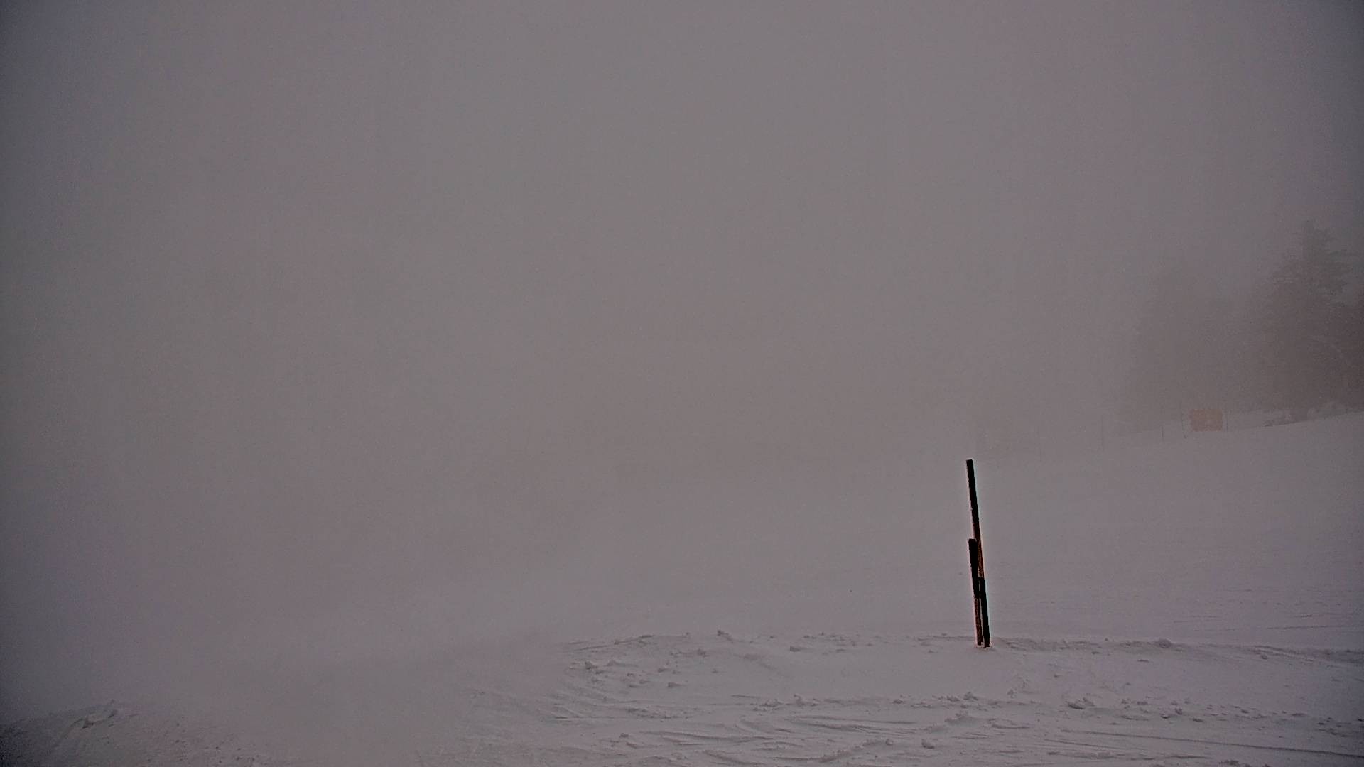 Archived image Webcam Stuhleck