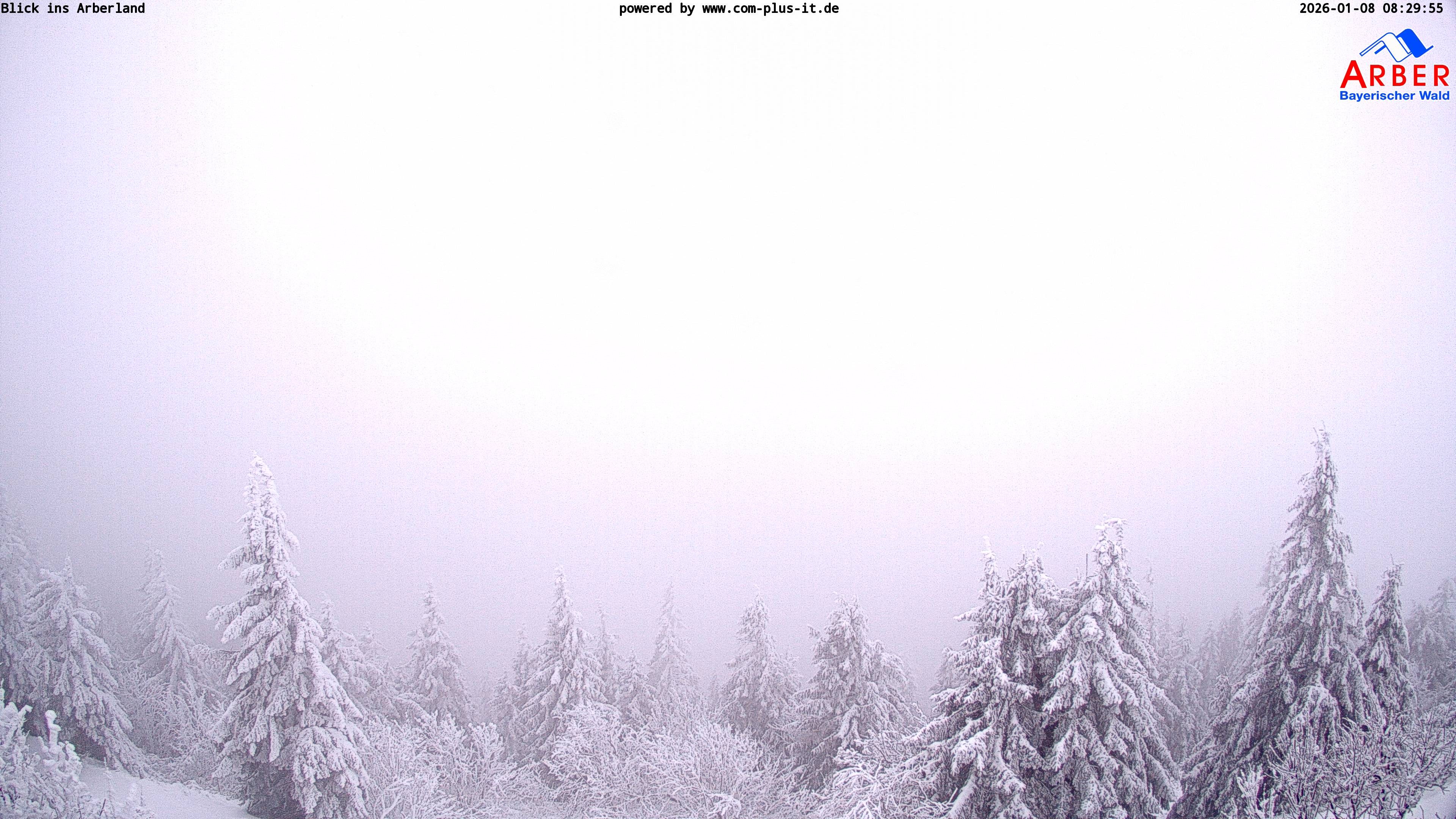 Archiv Foto Webcam Großer Arber