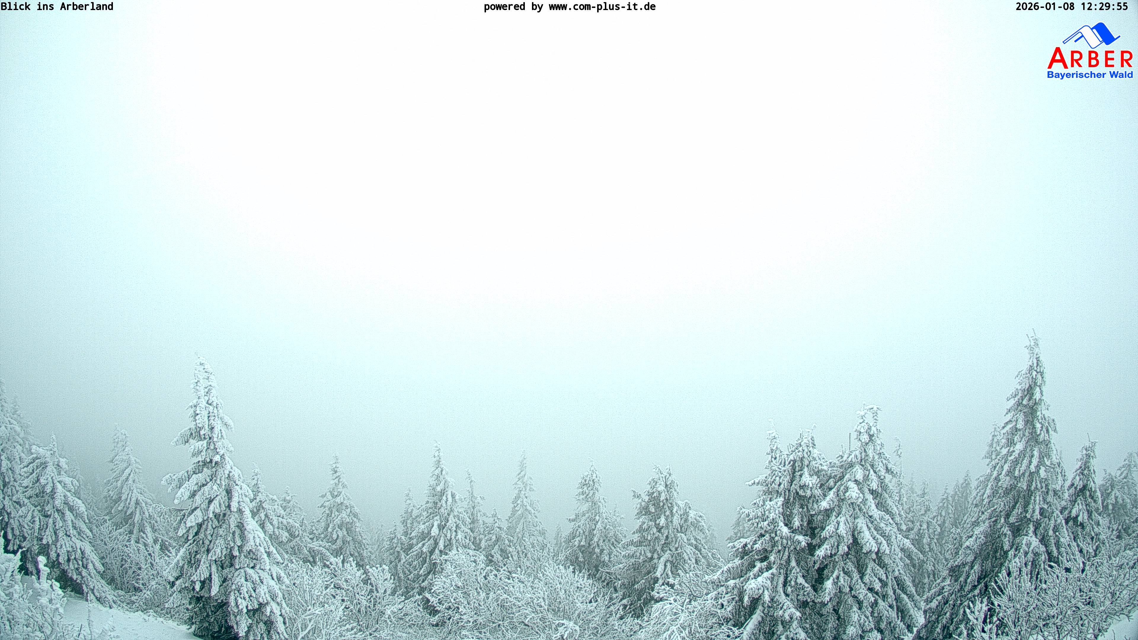 Archiv Foto Webcam Großer Arber