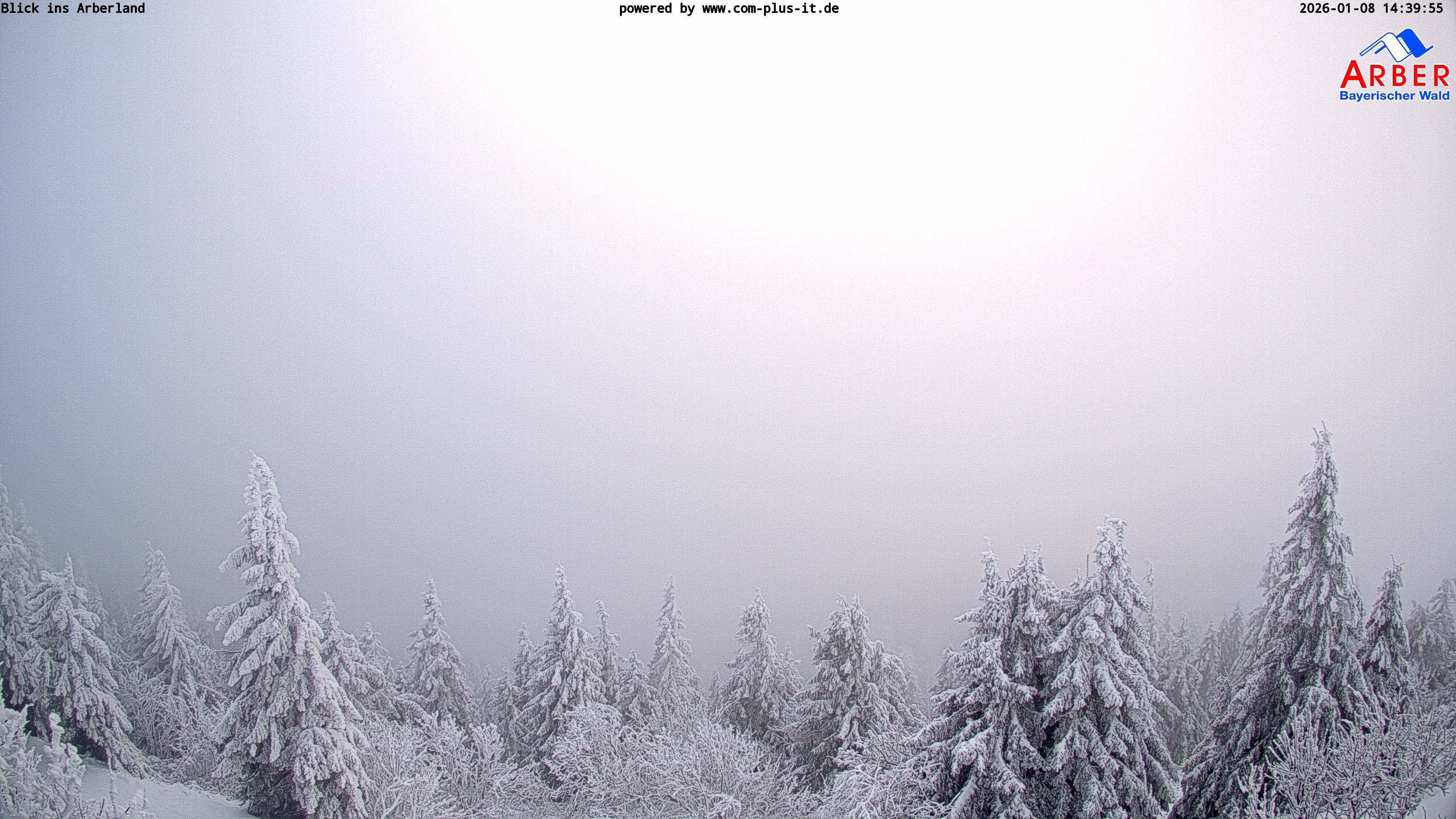 Archiv Foto Webcam Großer Arber