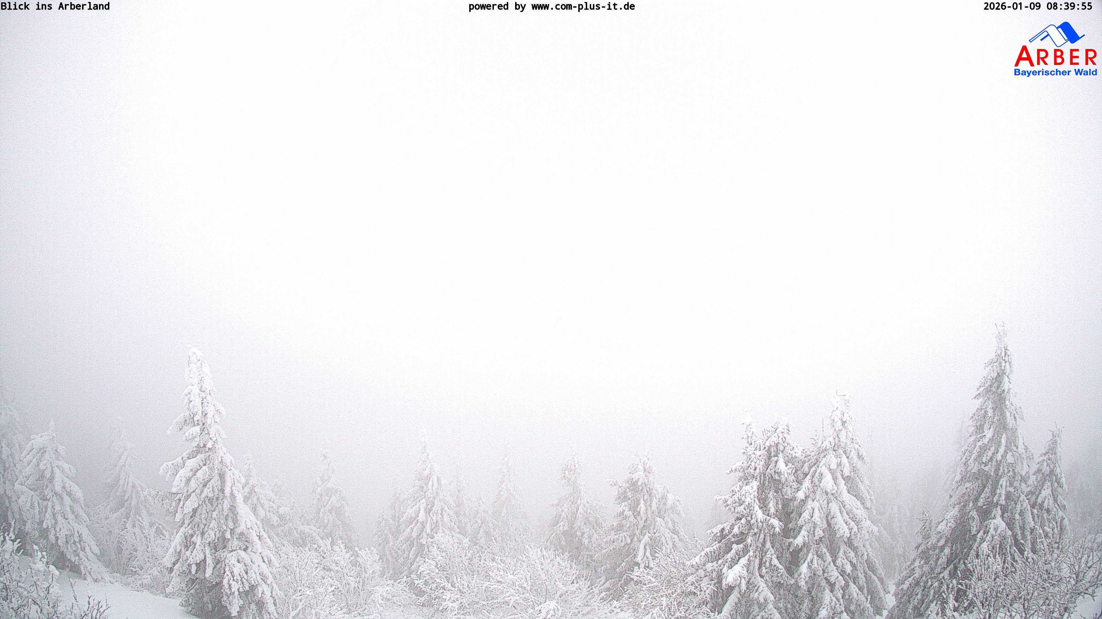 Archived image Webcam Großer Arber mountain