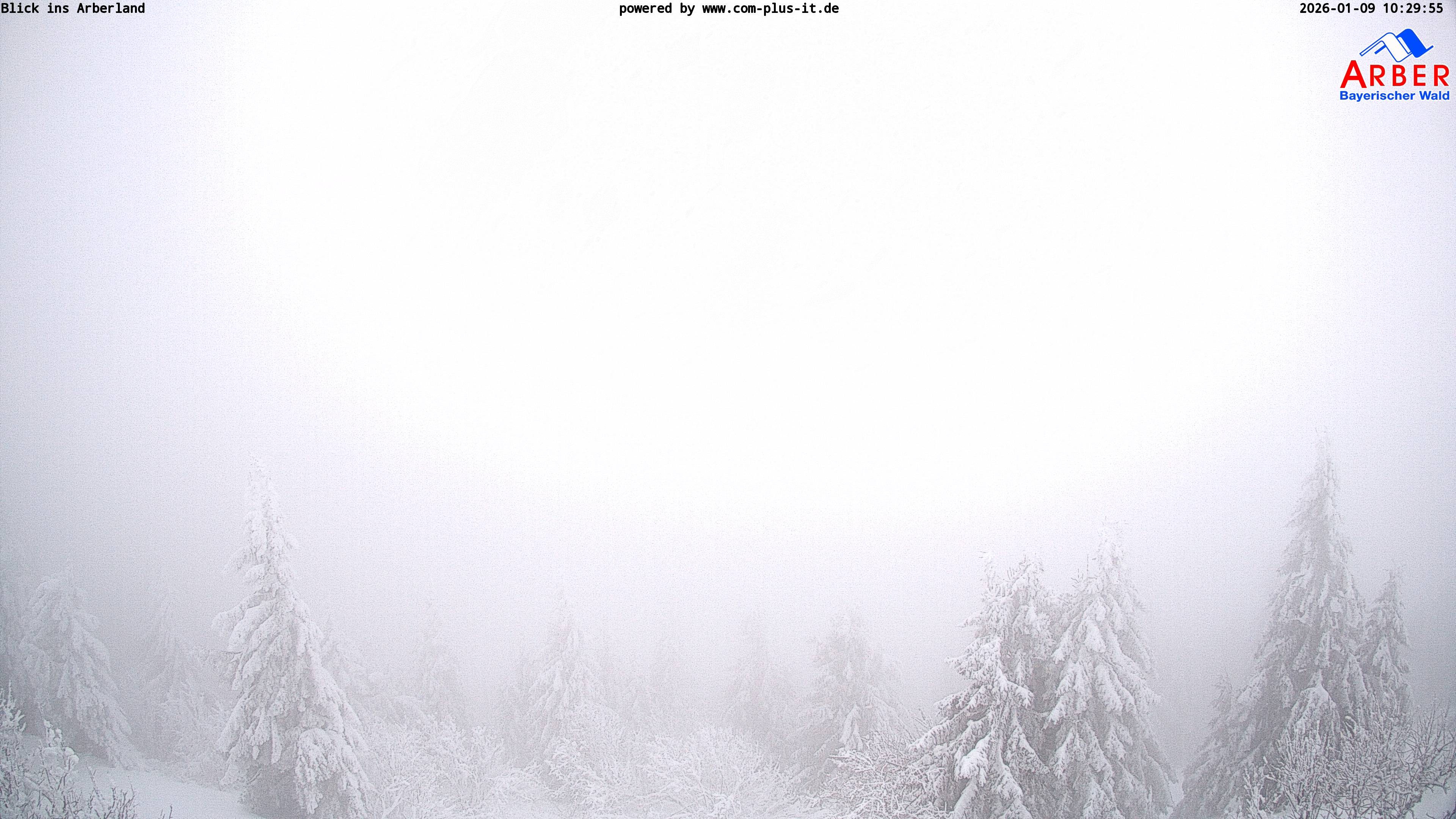 Archived image Webcam Großer Arber mountain