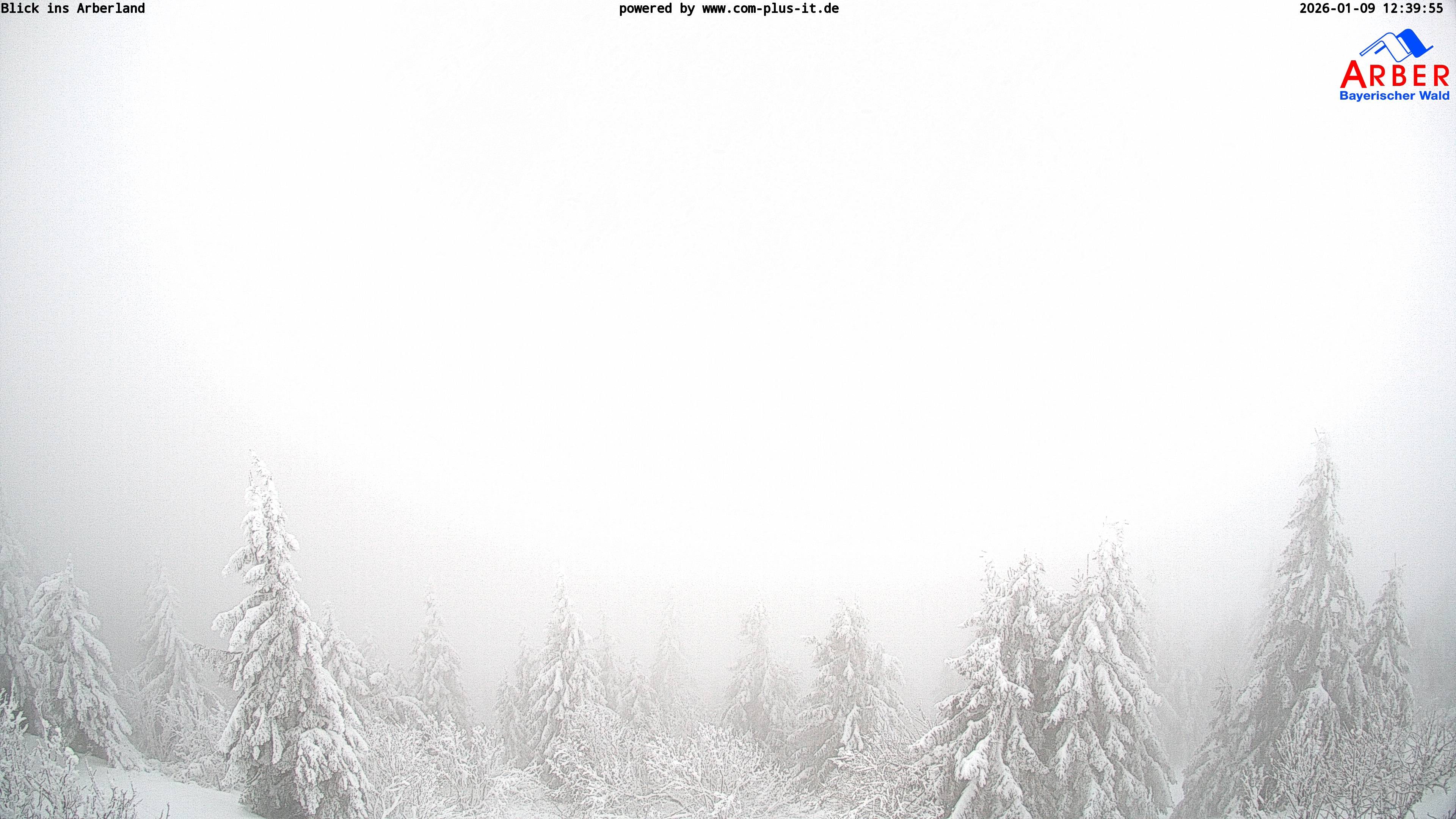 Archived image Webcam Großer Arber mountain