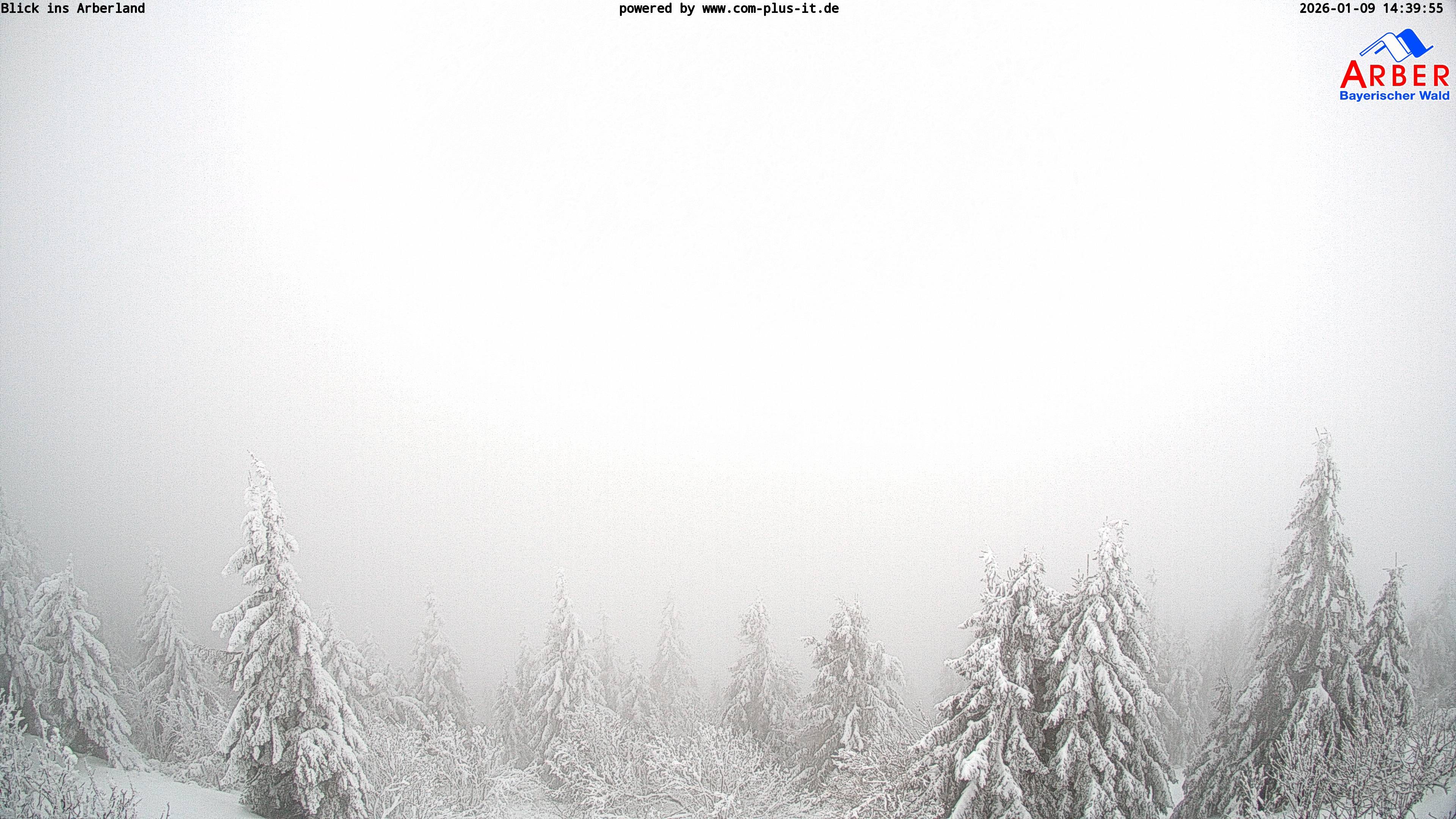 Archived image Webcam Großer Arber mountain