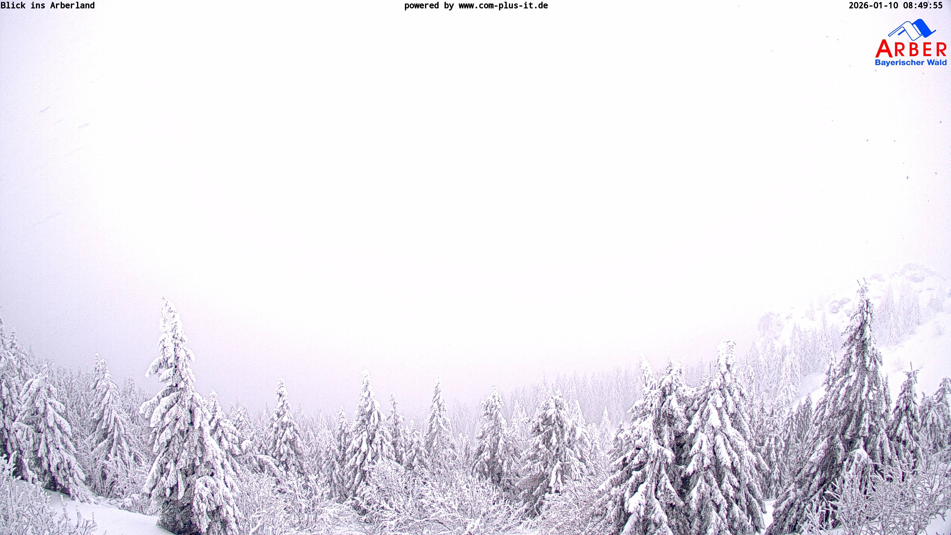 Archiv Foto Webcam Großer Arber