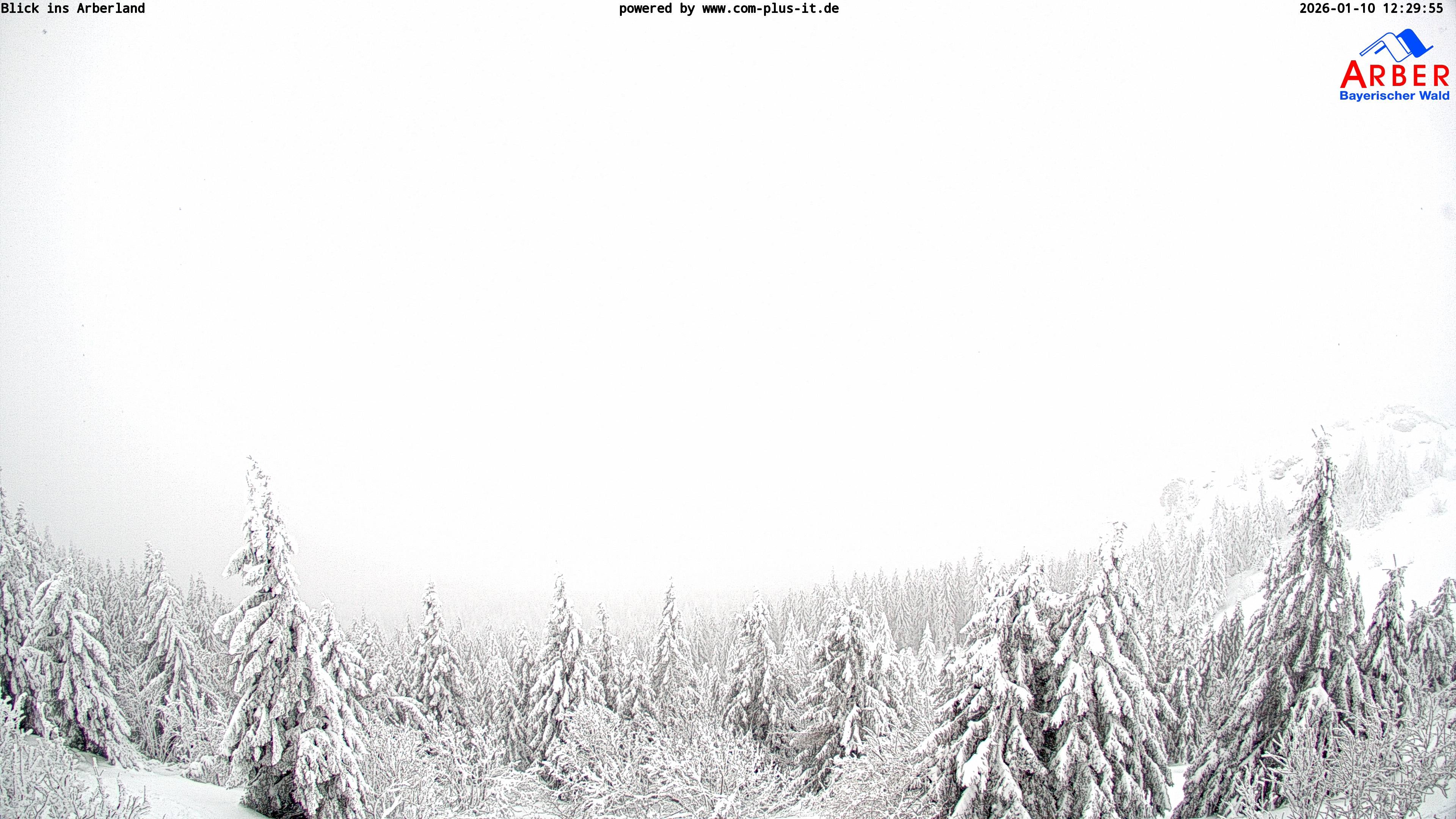 Archiv Foto Webcam Großer Arber