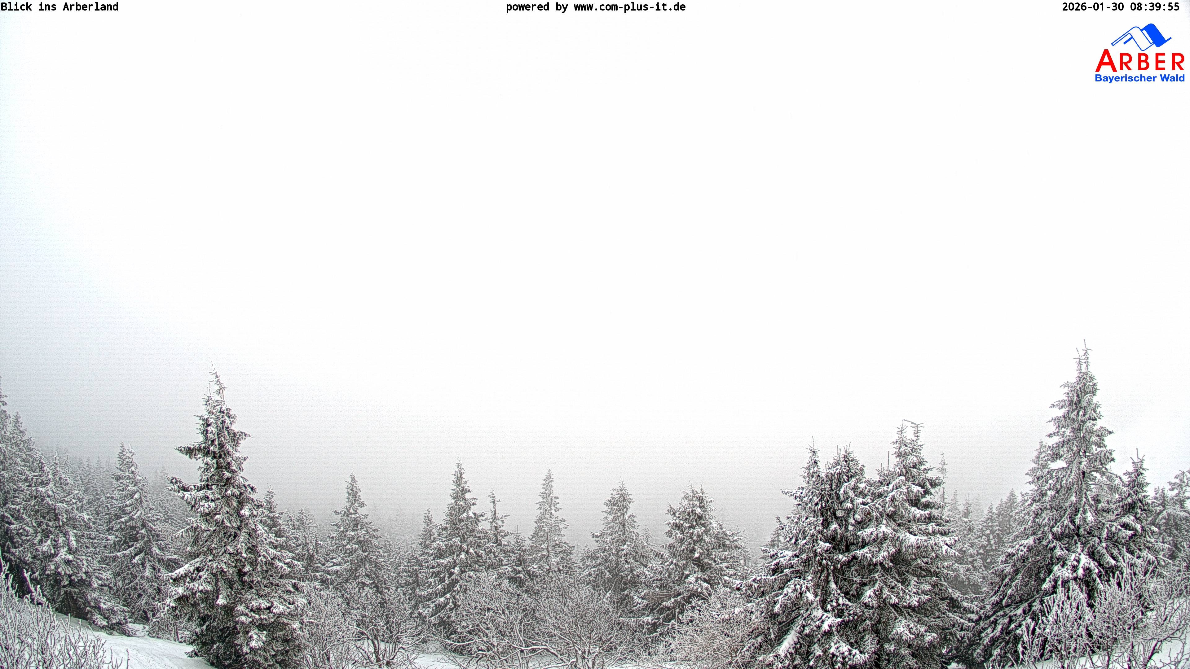 Archiv Foto Webcam Großer Arber