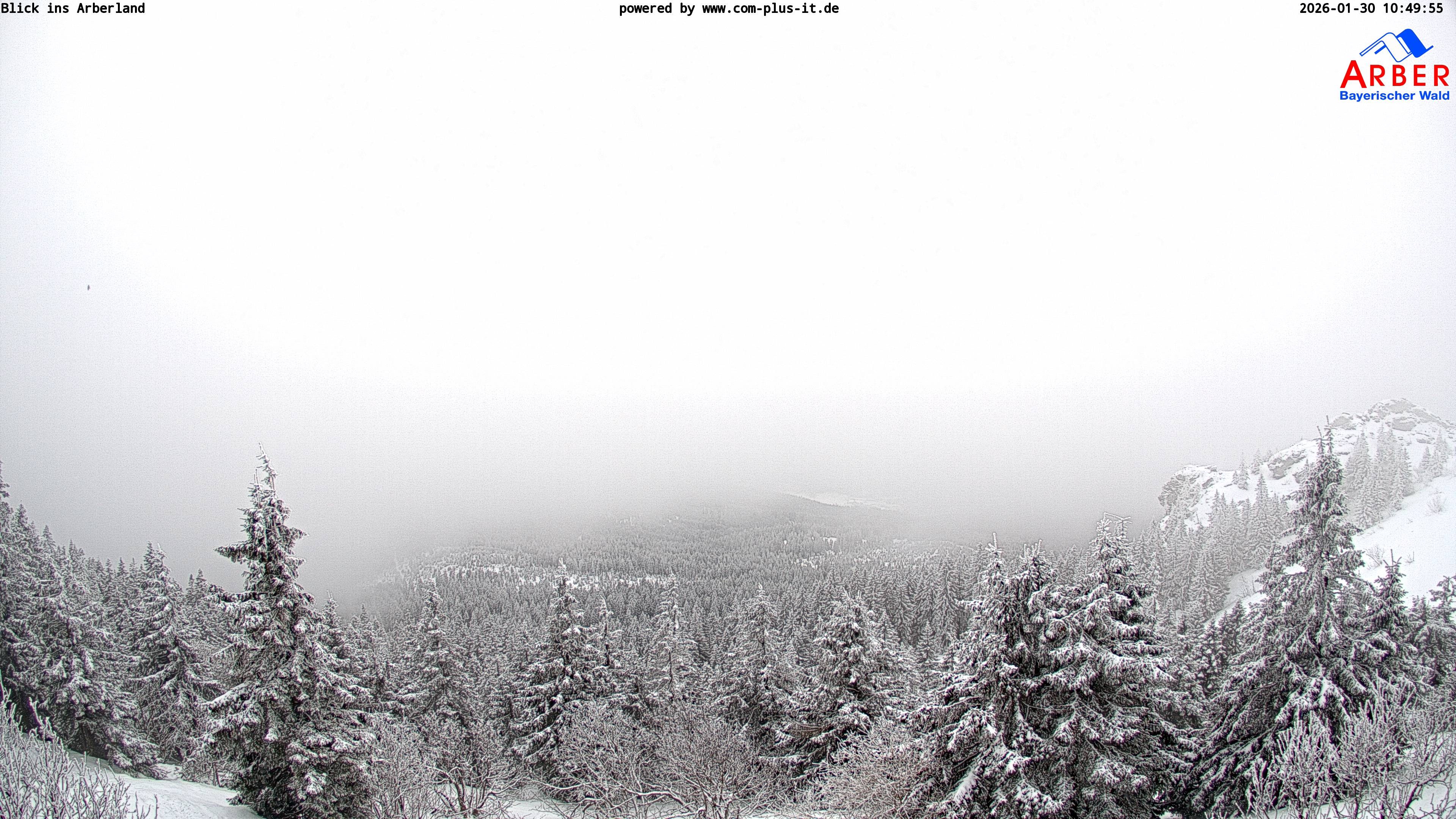 Archiv Foto Webcam Großer Arber