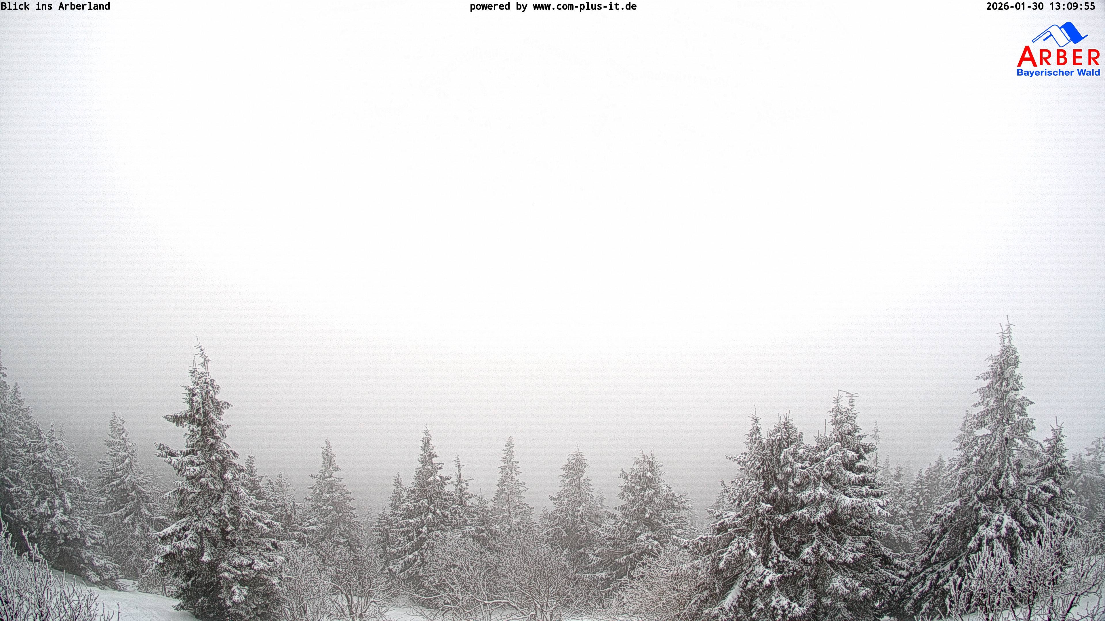 Archiv Foto Webcam Großer Arber