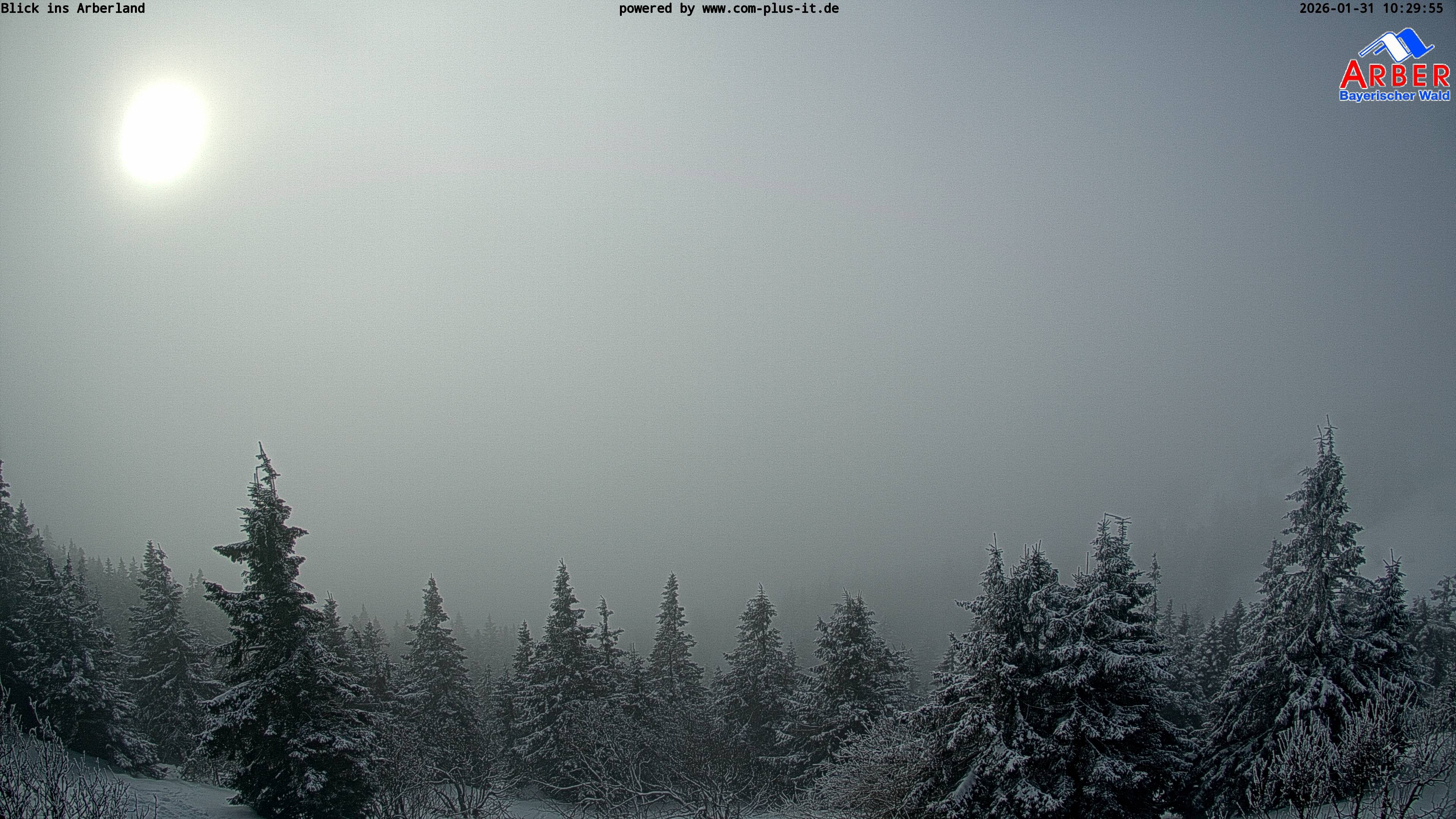 Archiv Foto Webcam Großer Arber