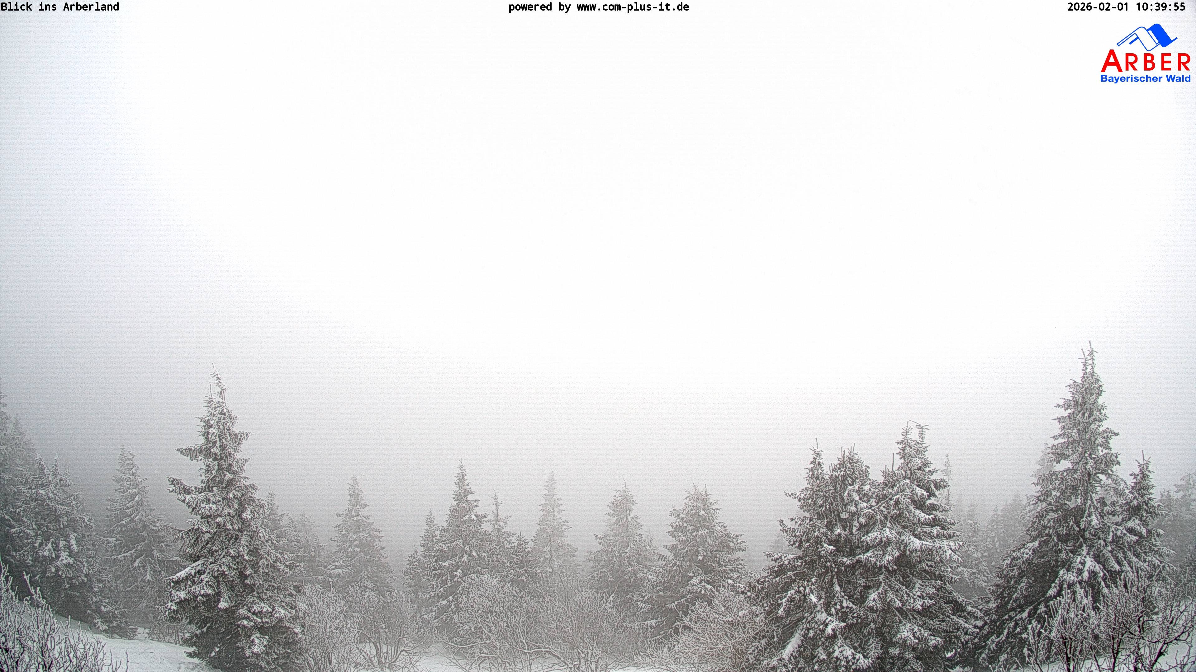 Archiv Foto Webcam Großer Arber