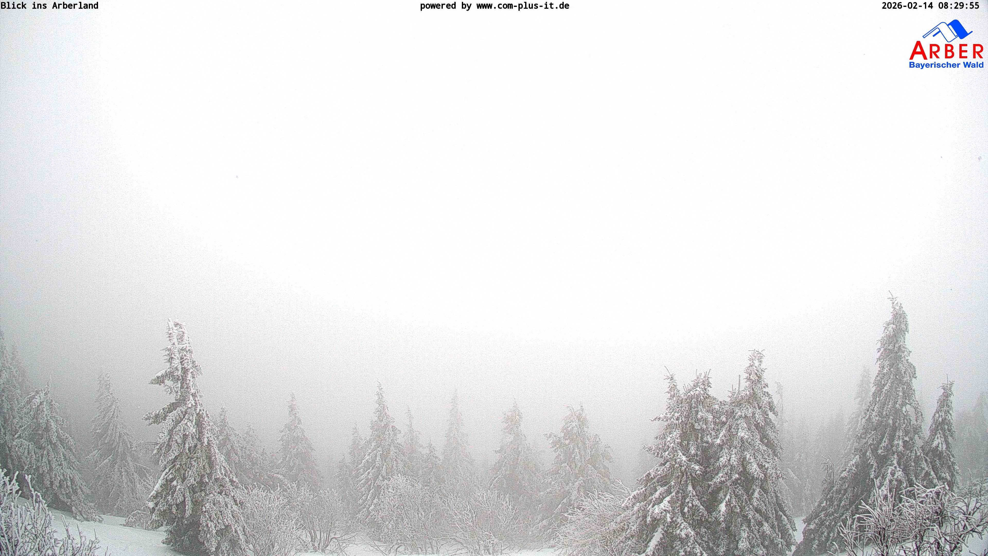 Archiv Foto Webcam Großer Arber