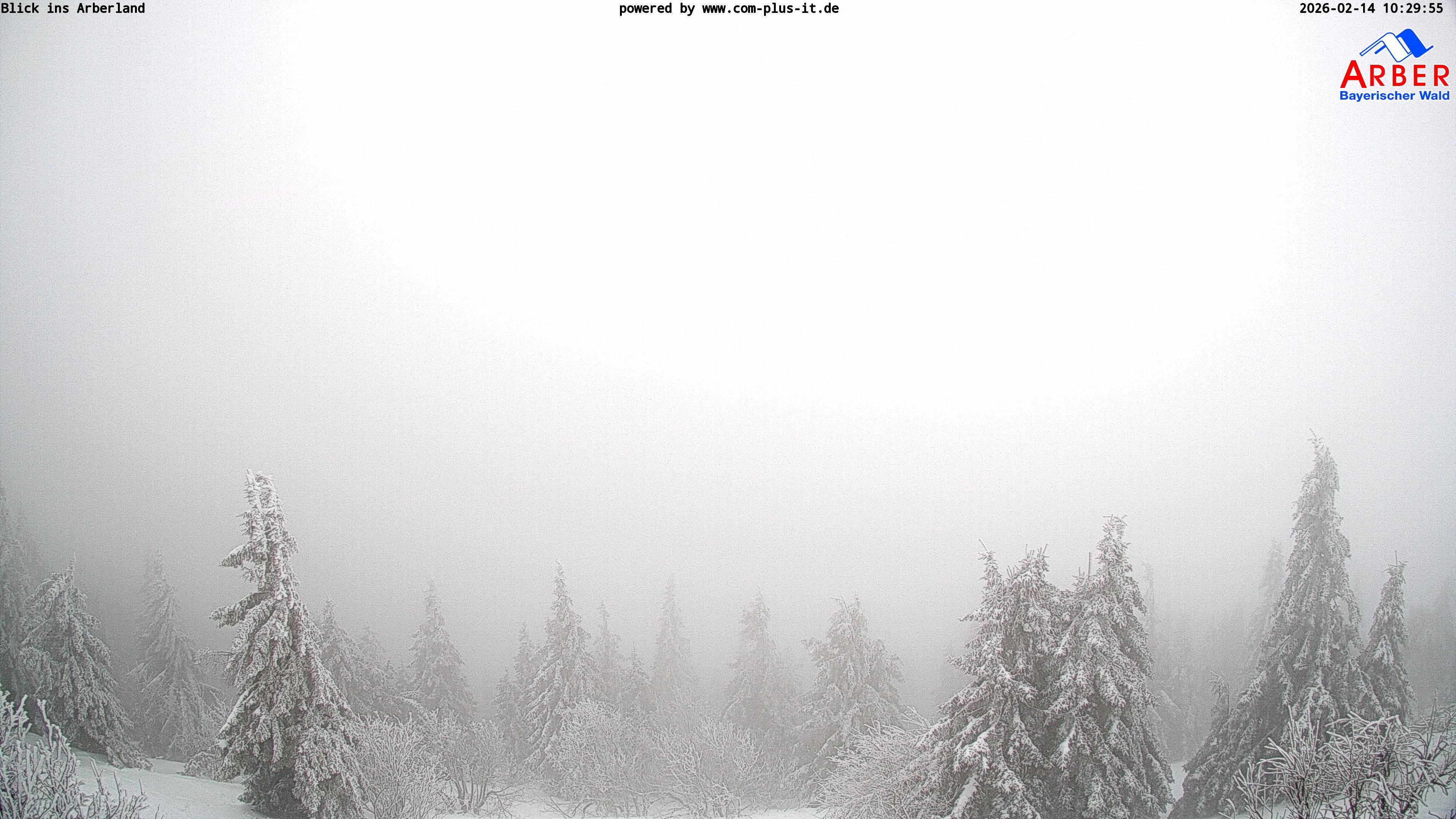 Archiv Foto Webcam Großer Arber