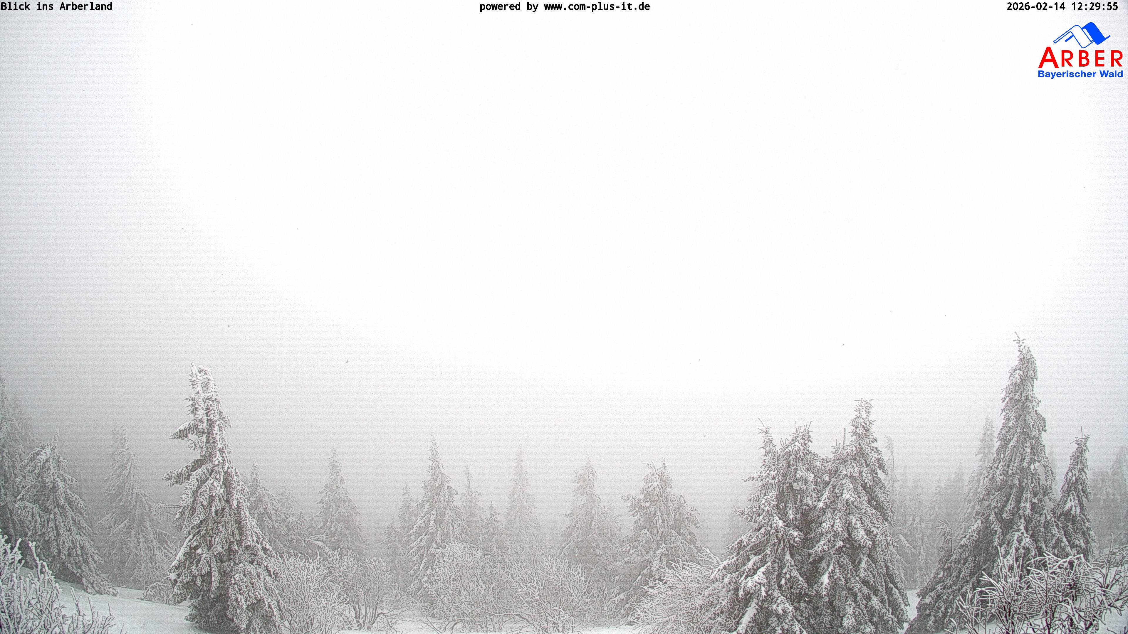 Archiv Foto Webcam Großer Arber