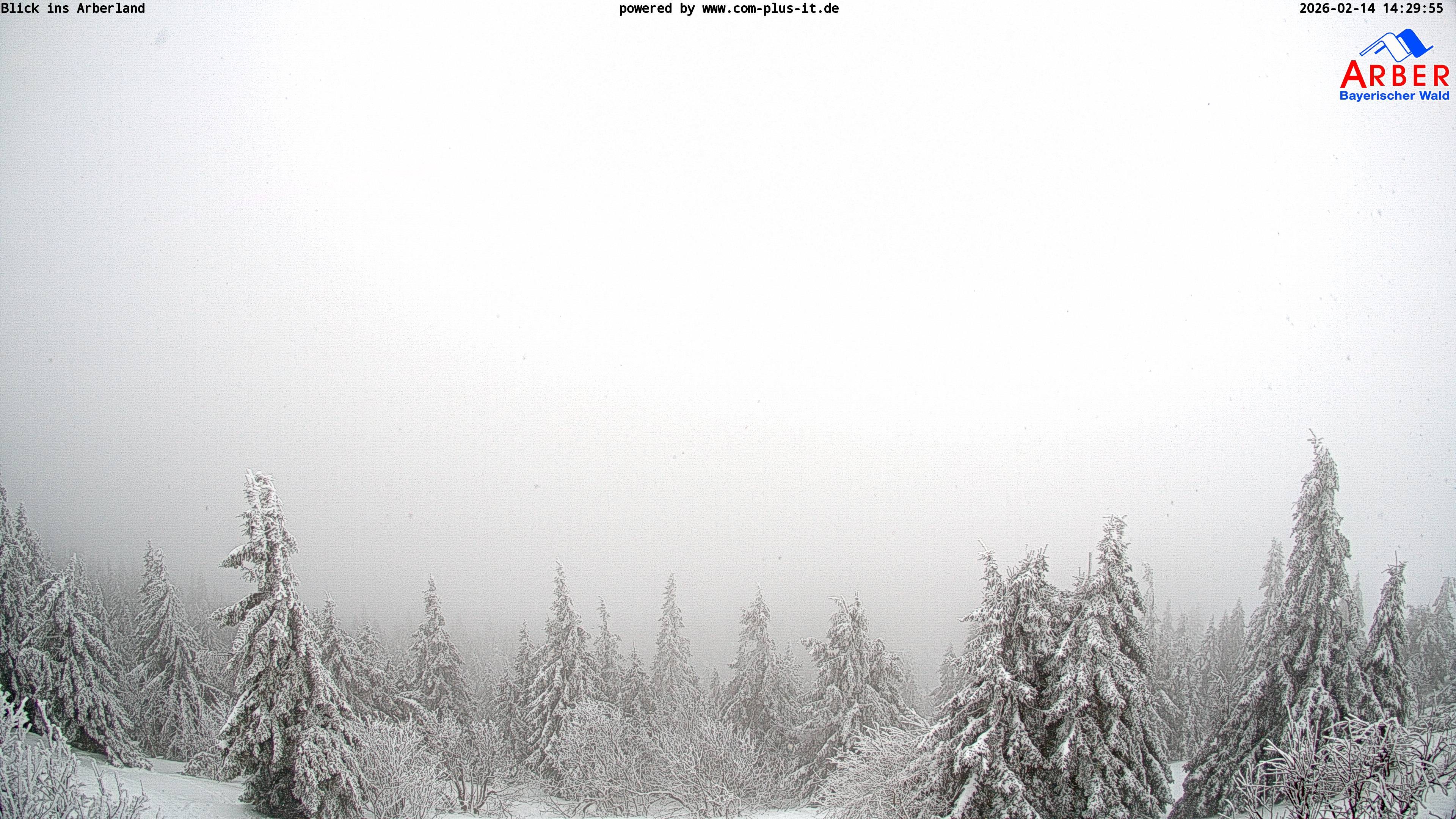 Archiv Foto Webcam Großer Arber