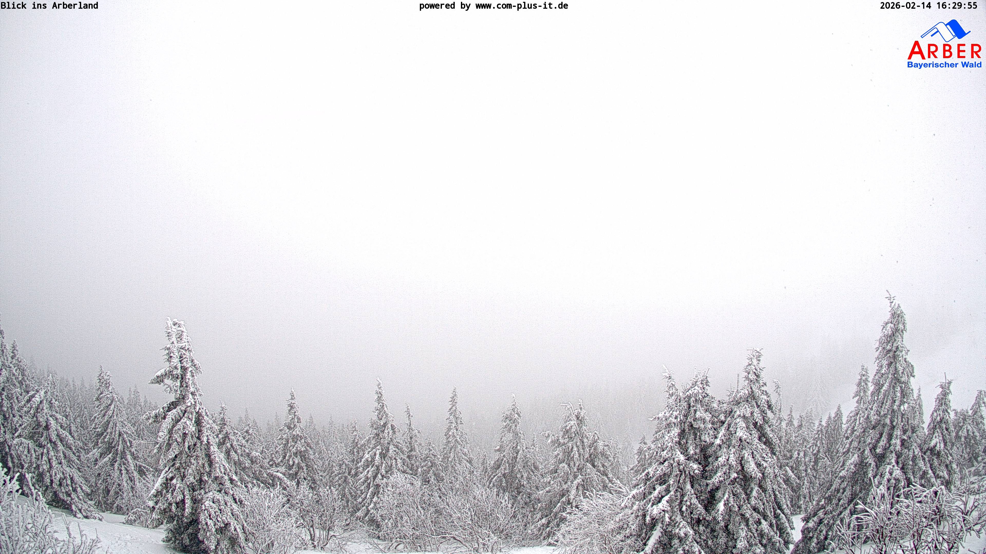 Archiv Foto Webcam Großer Arber