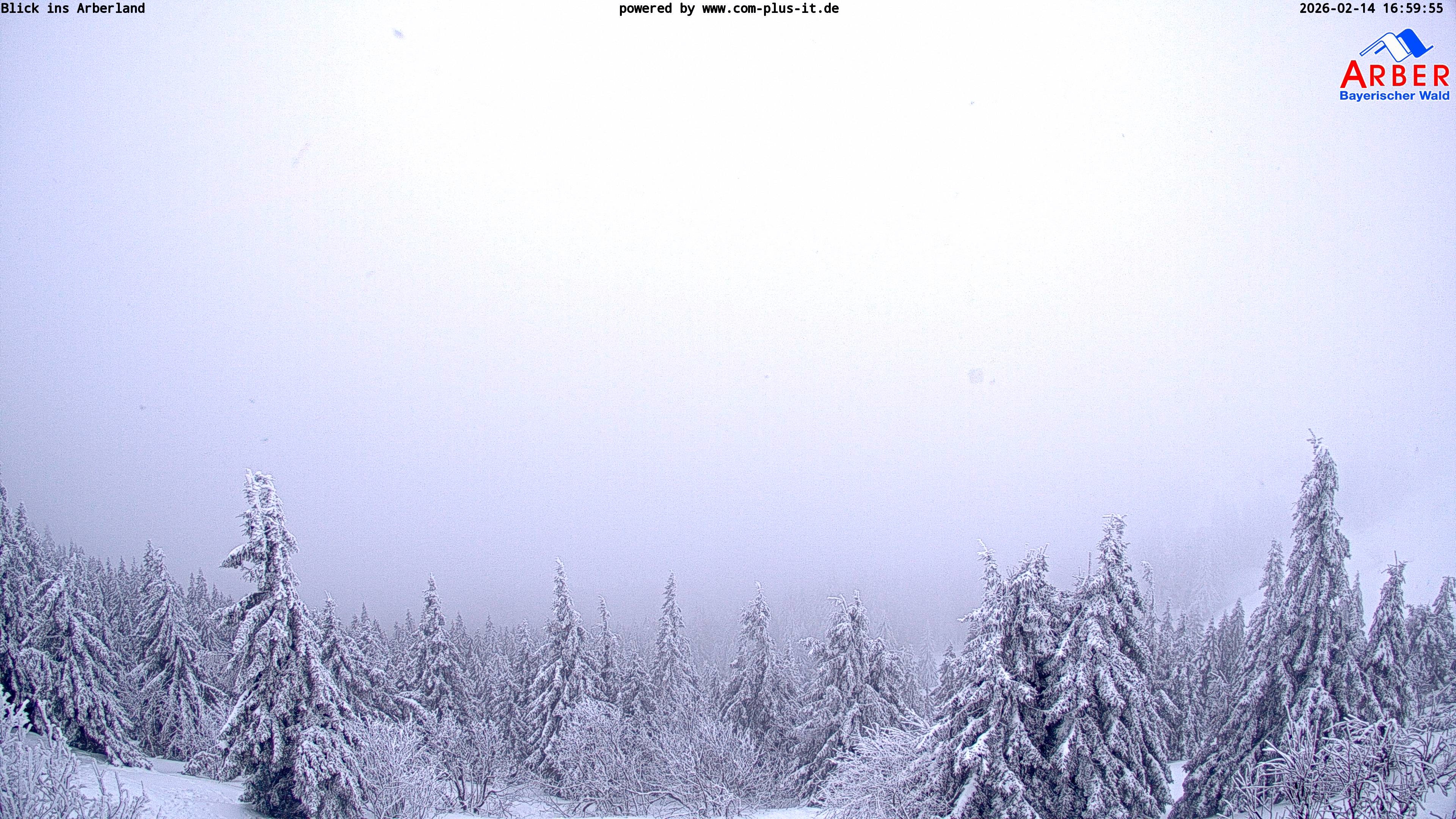 Archiv Foto Webcam Großer Arber