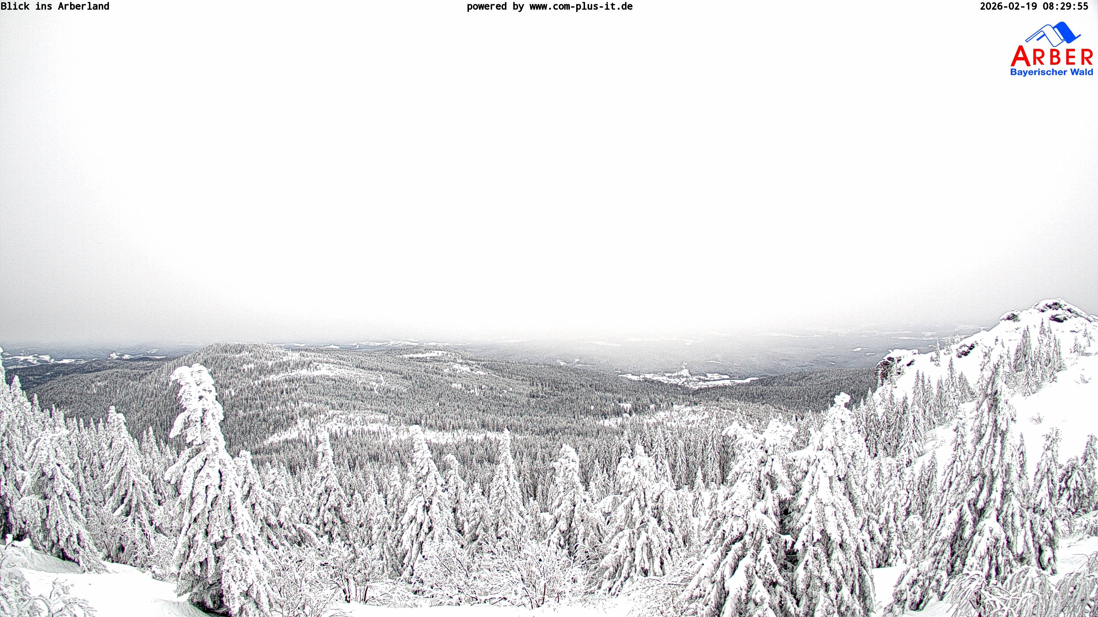 Archived image Webcam Großer Arber mountain