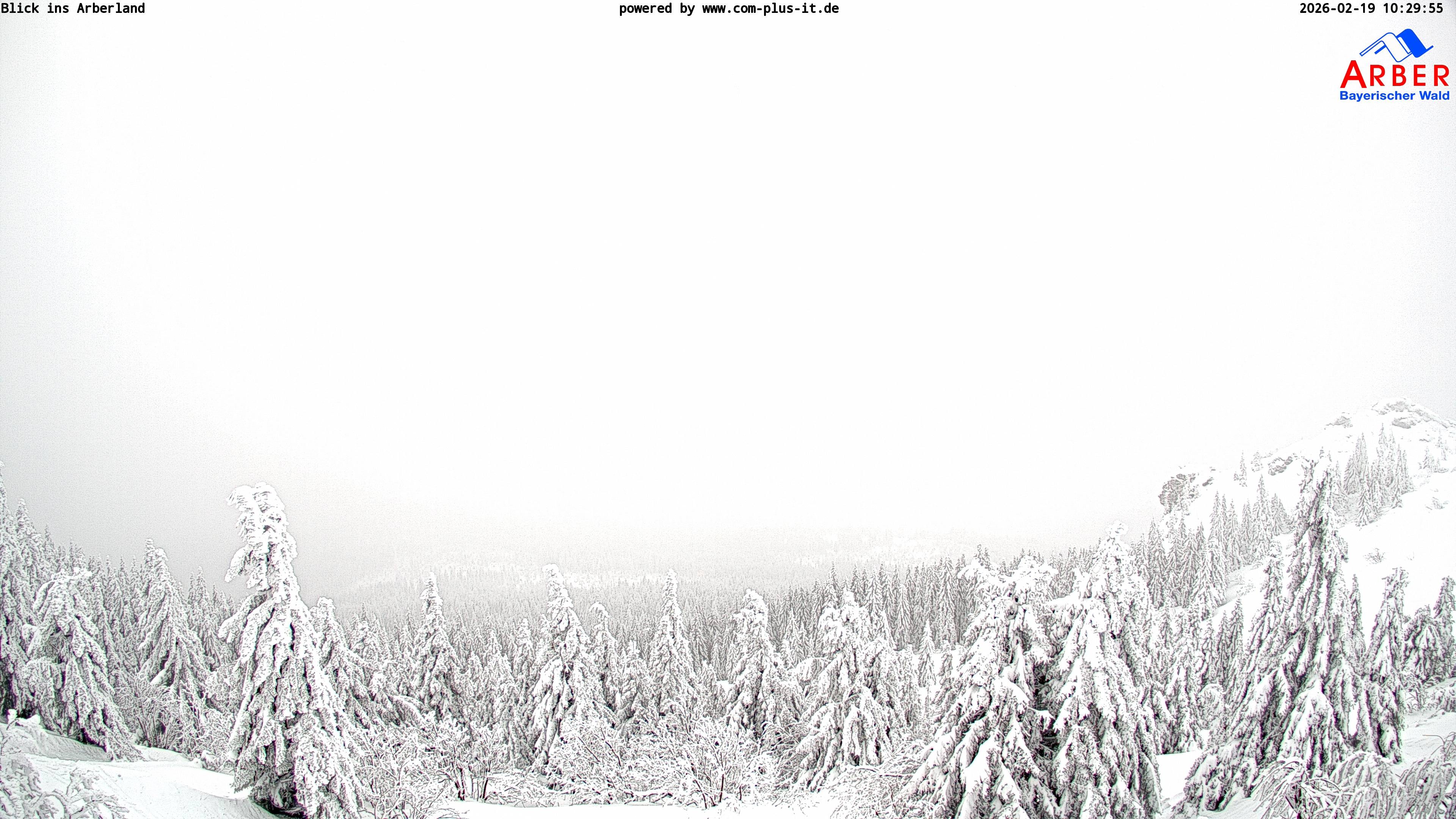 Archived image Webcam Großer Arber mountain