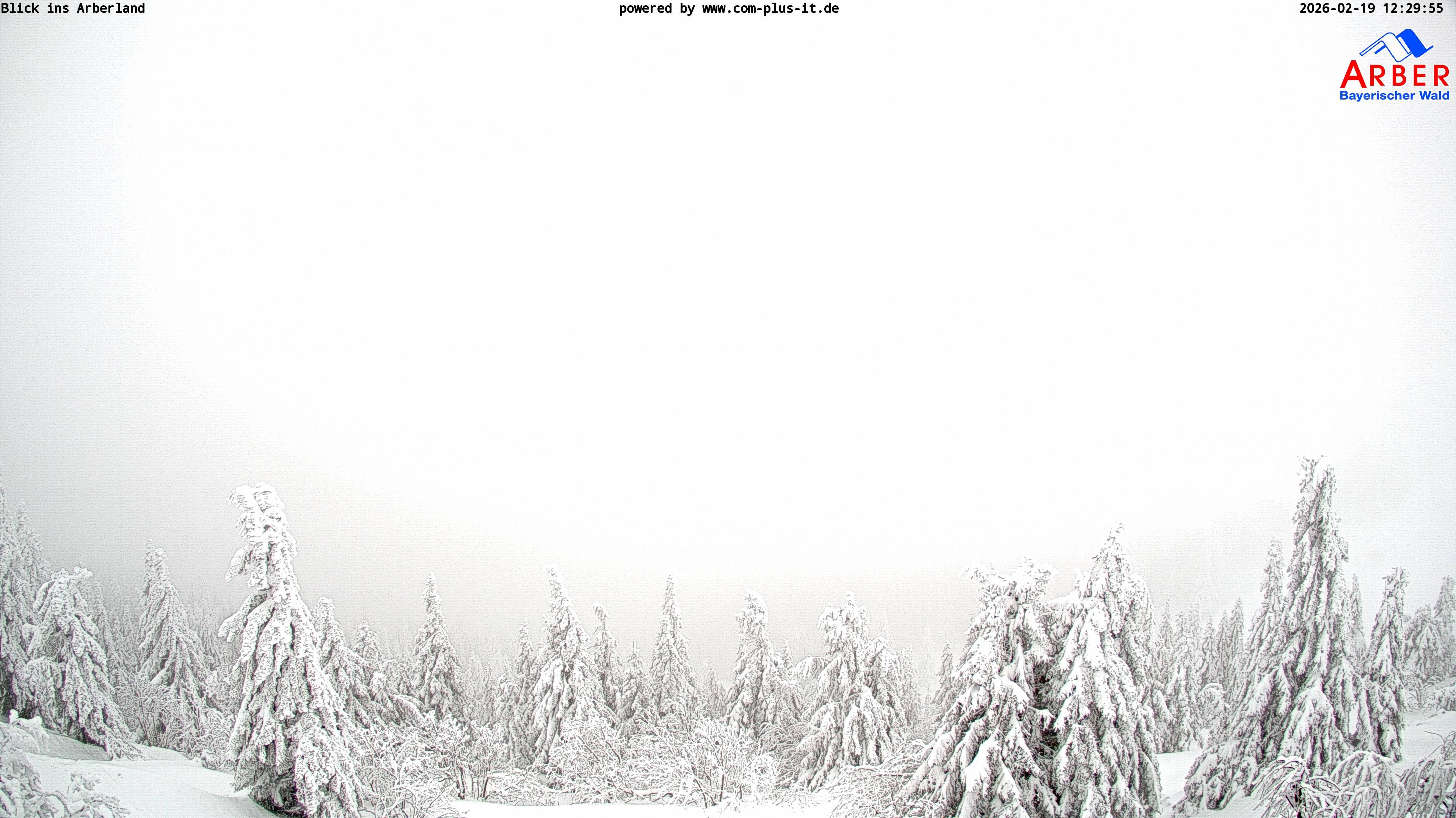 Archived image Webcam Großer Arber mountain