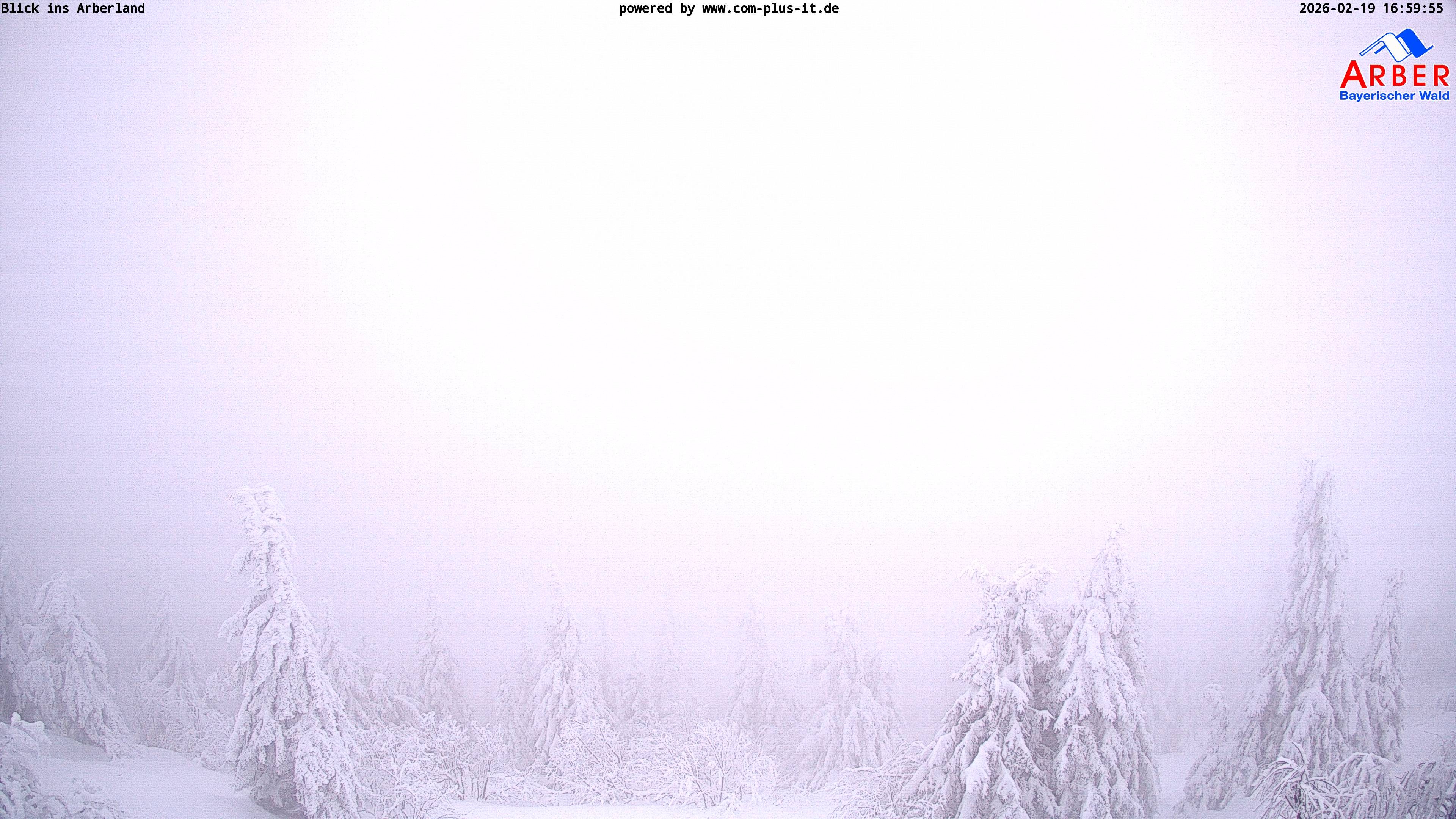 Archived image Webcam Großer Arber mountain