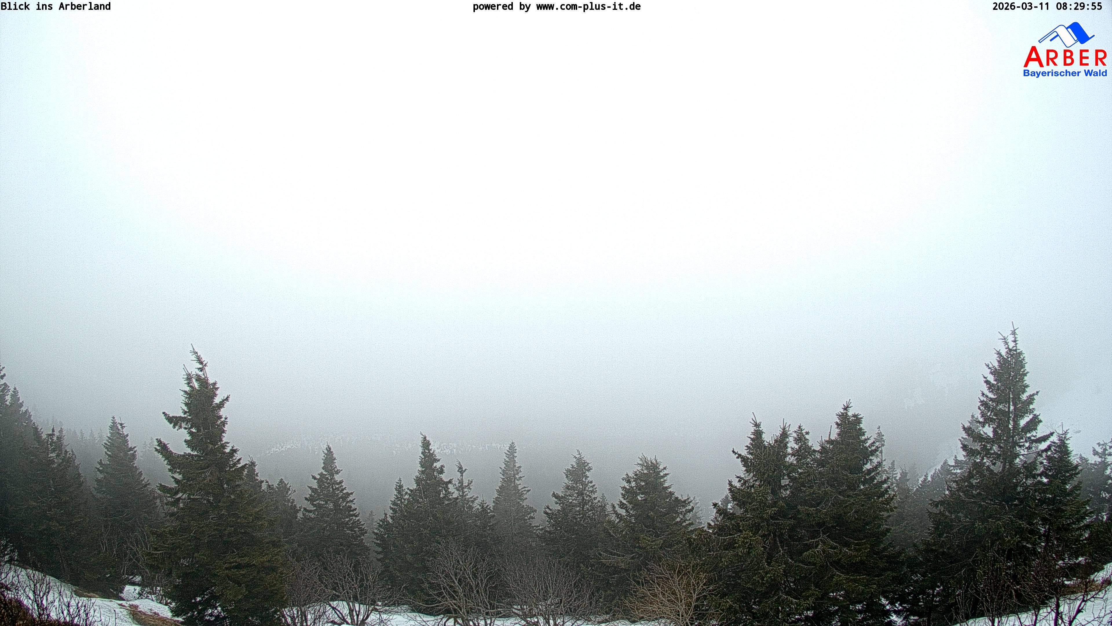 Archiv Foto Webcam Großer Arber