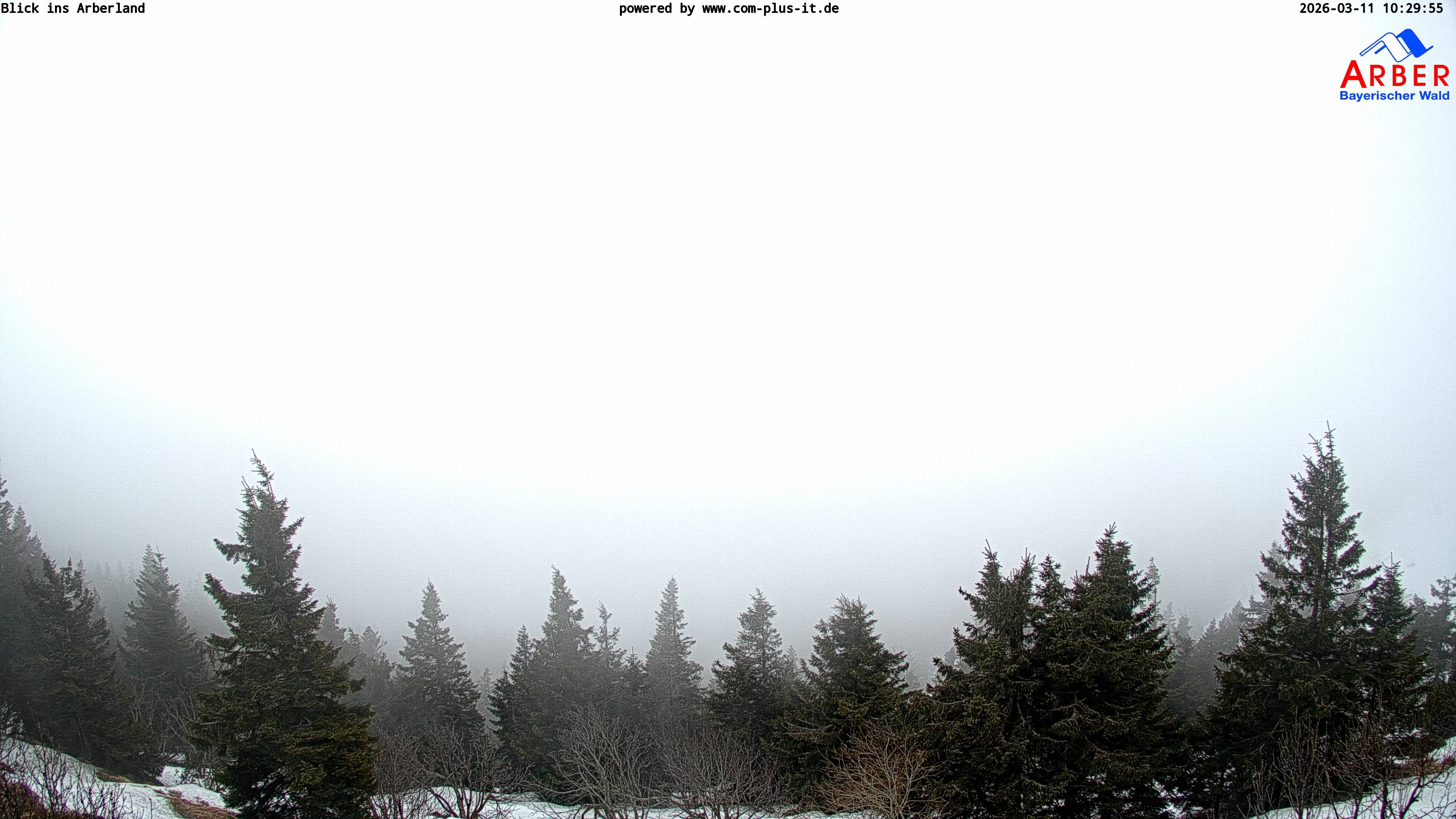 Archiv Foto Webcam Großer Arber