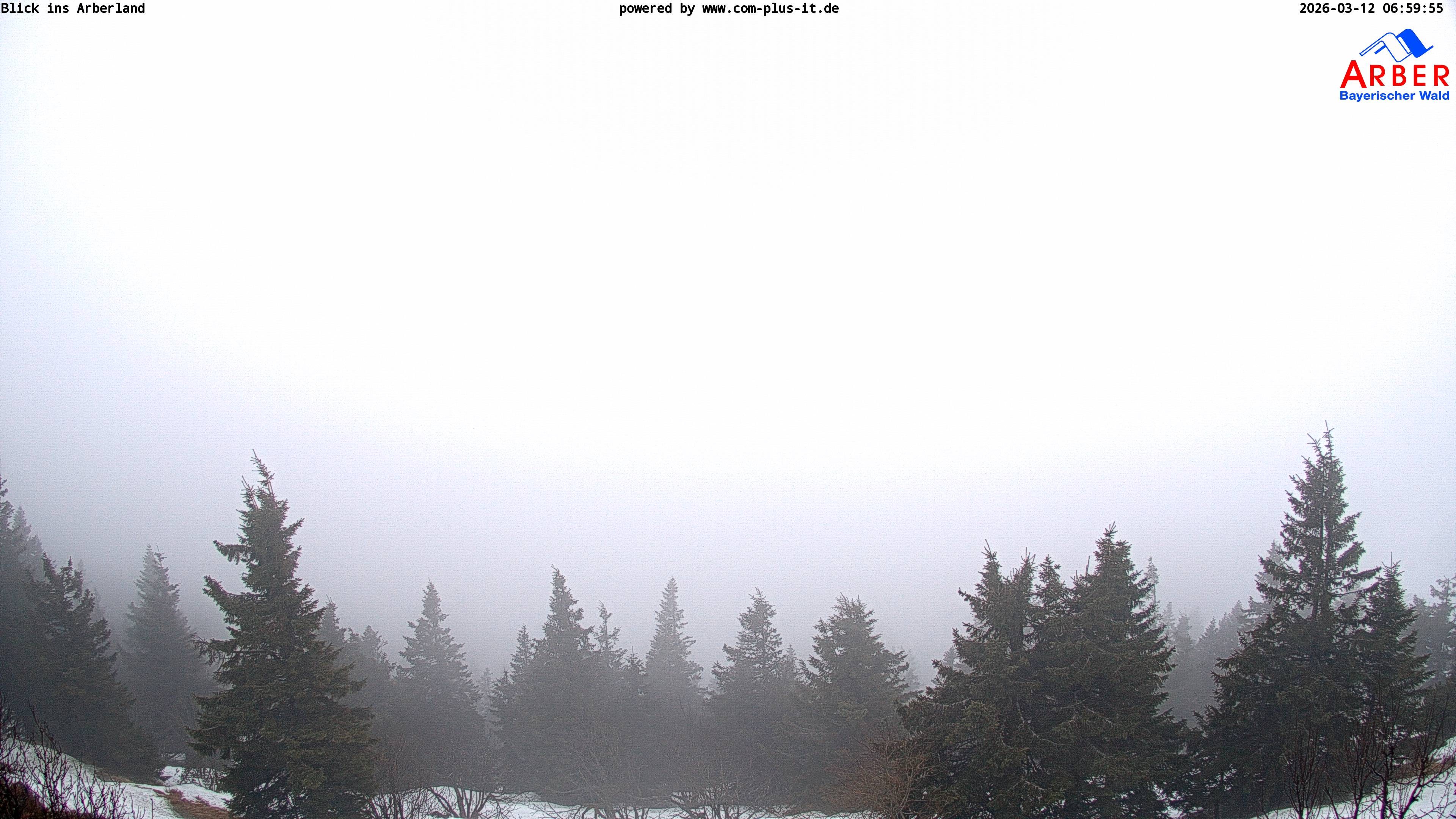 Archived image Webcam Großer Arber mountain