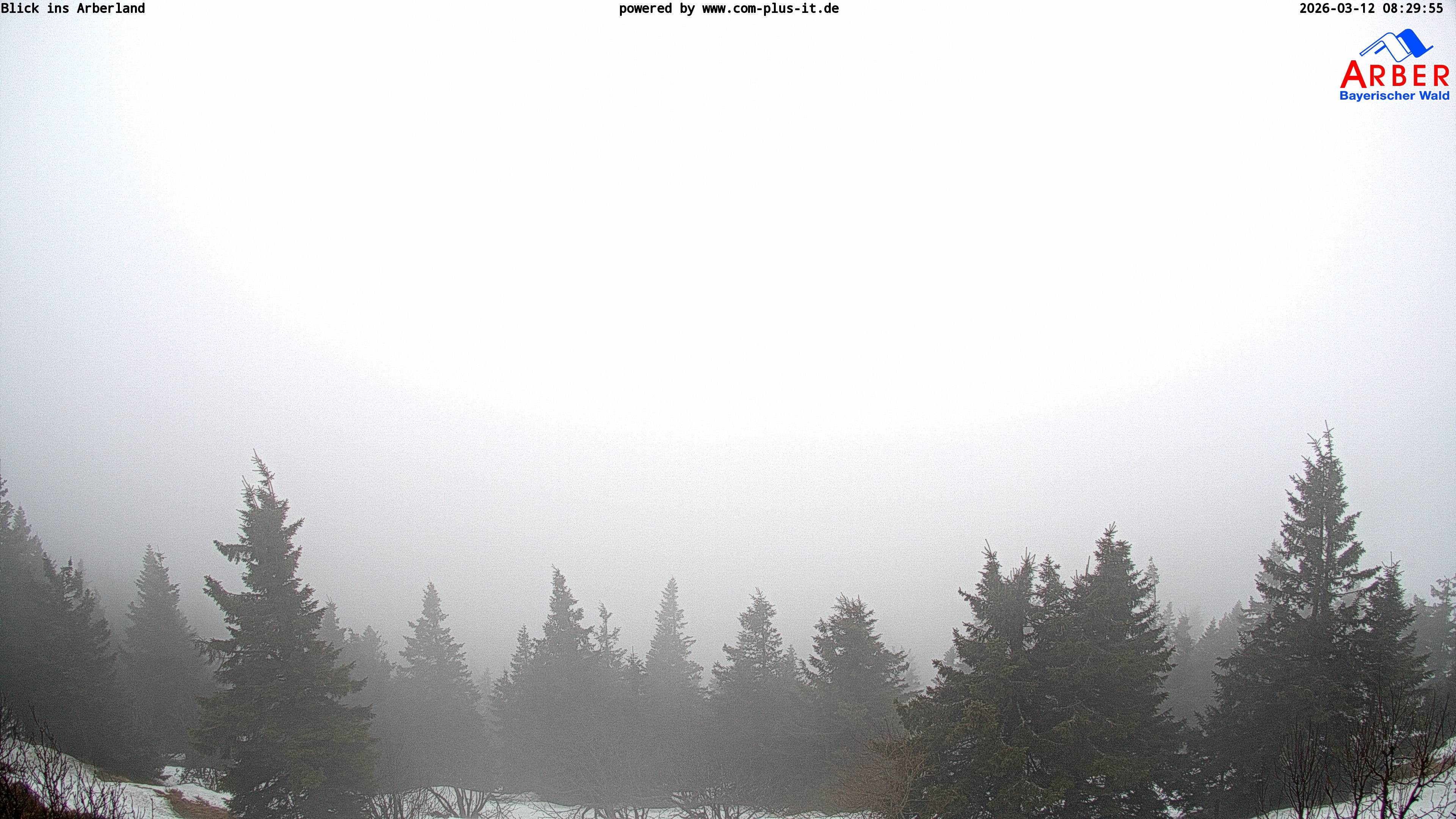 Archiv Foto Webcam Großer Arber