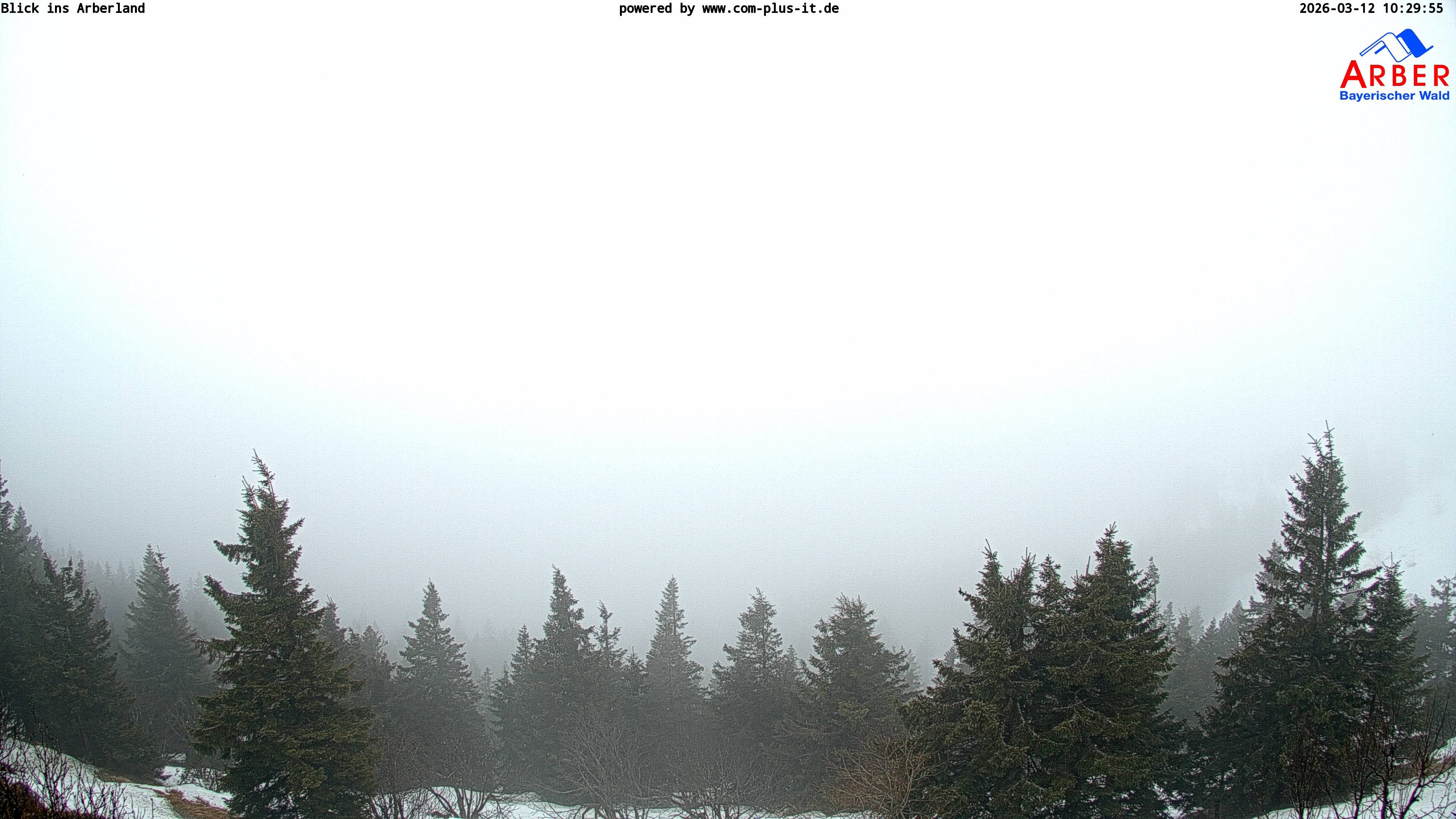 Archiv Foto Webcam Großer Arber