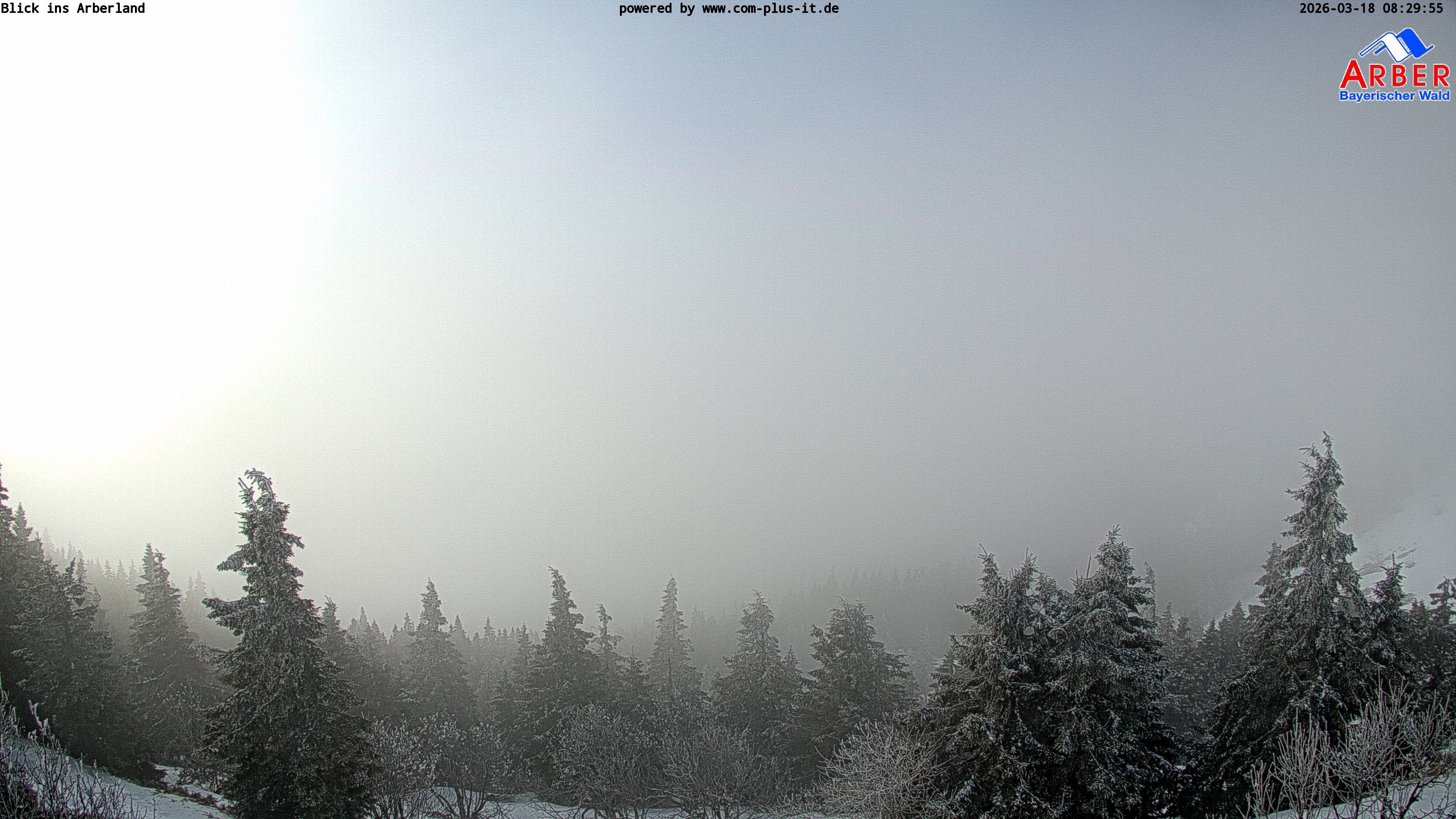 Archiv Foto Webcam Großer Arber