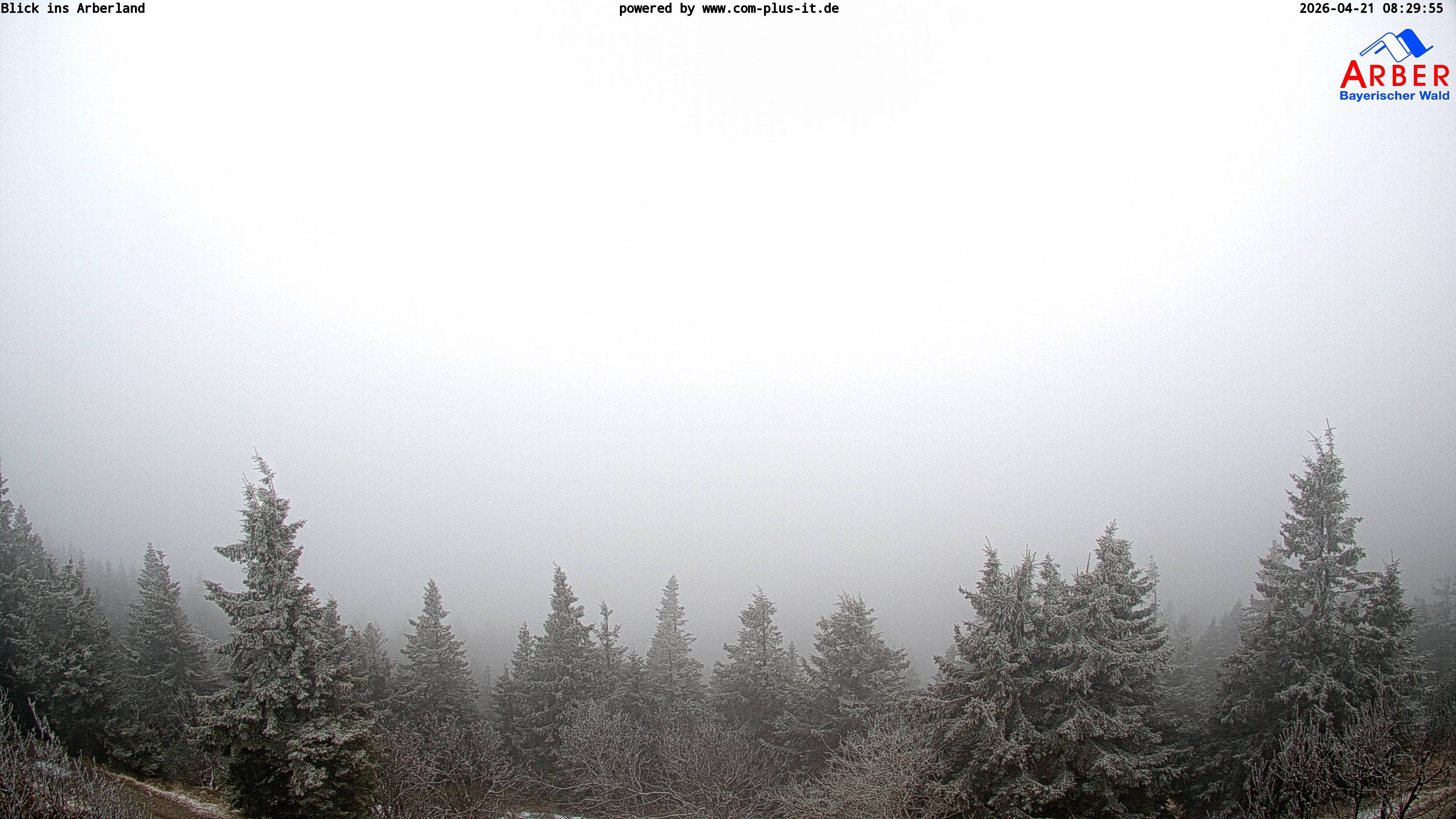 Archived image Webcam Großer Arber mountain