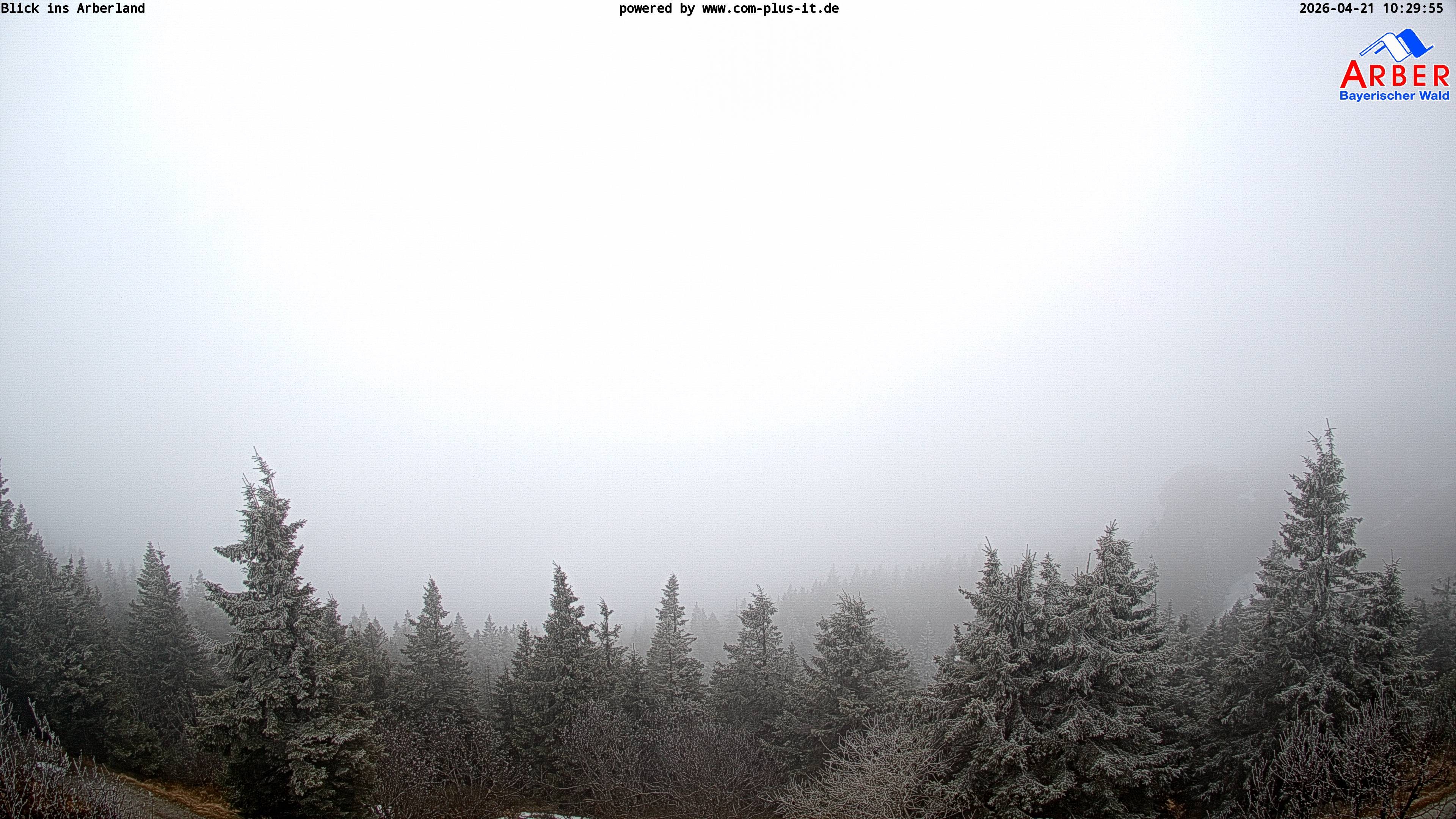 Archived image Webcam Großer Arber mountain