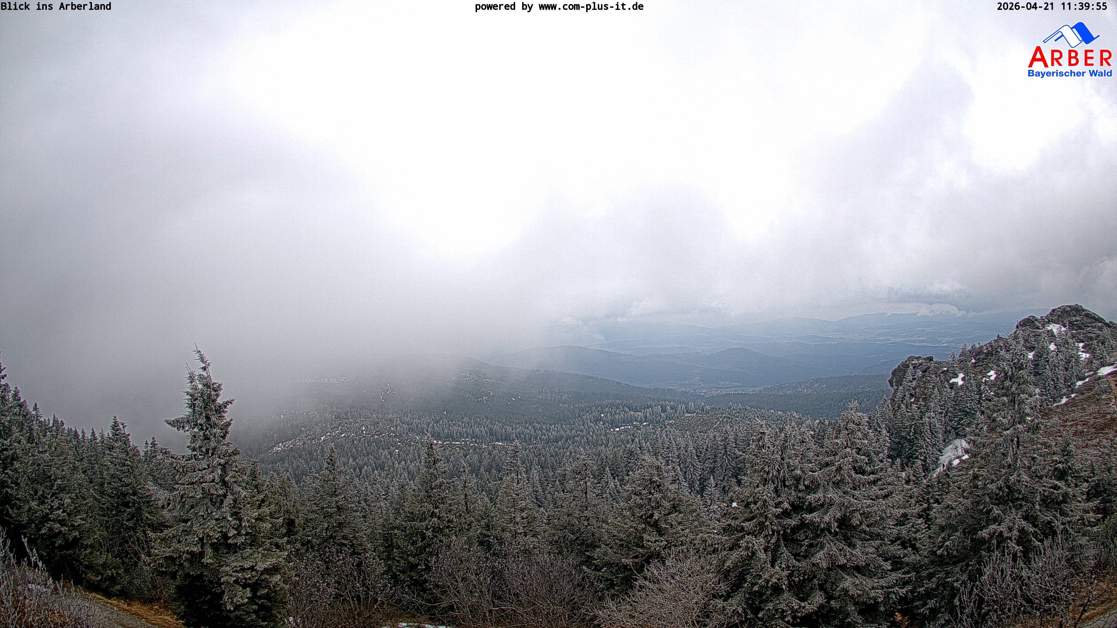 Archived image Webcam Großer Arber mountain