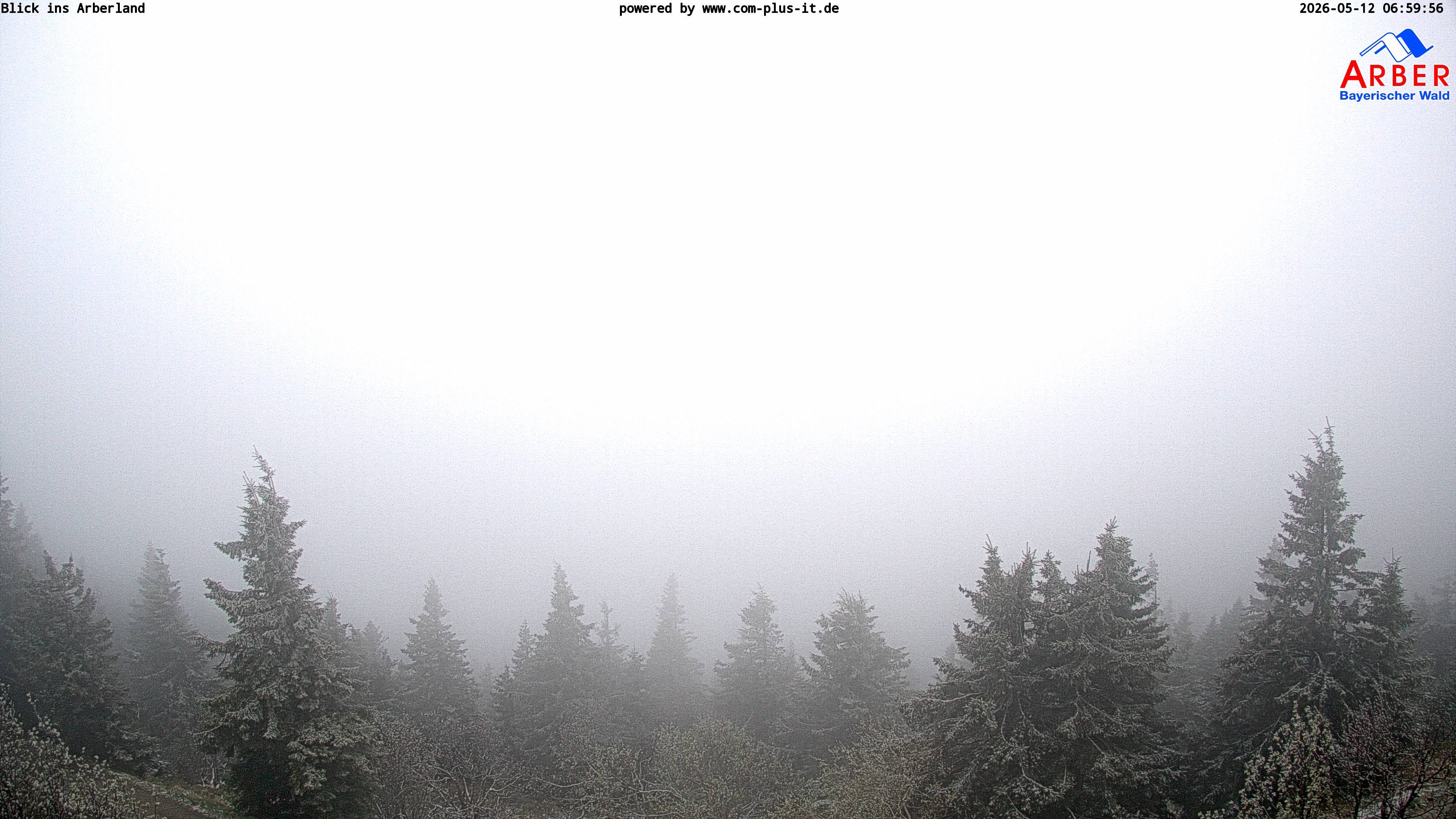 Archived image Webcam Großer Arber mountain